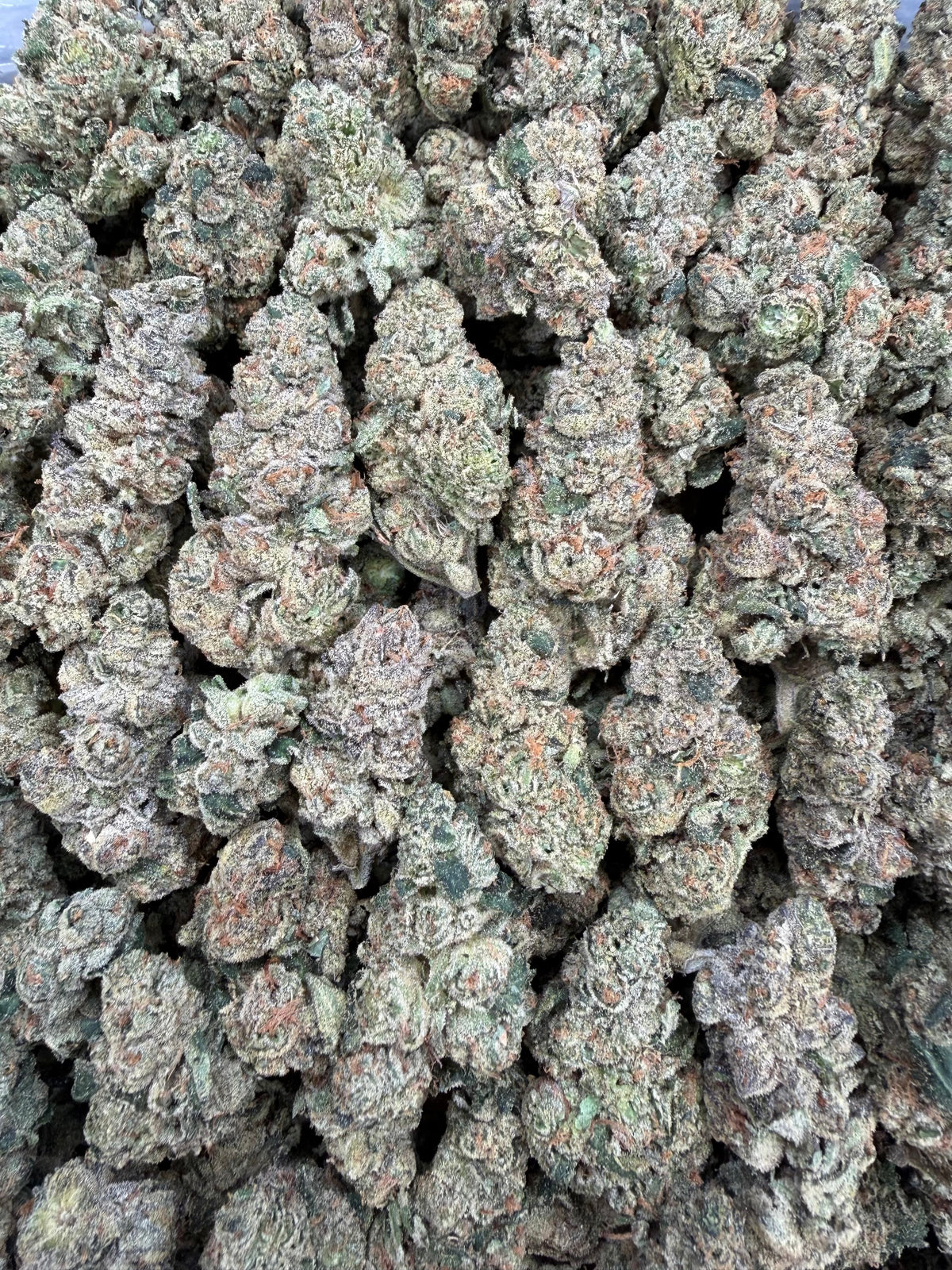 2oz - Red Hot