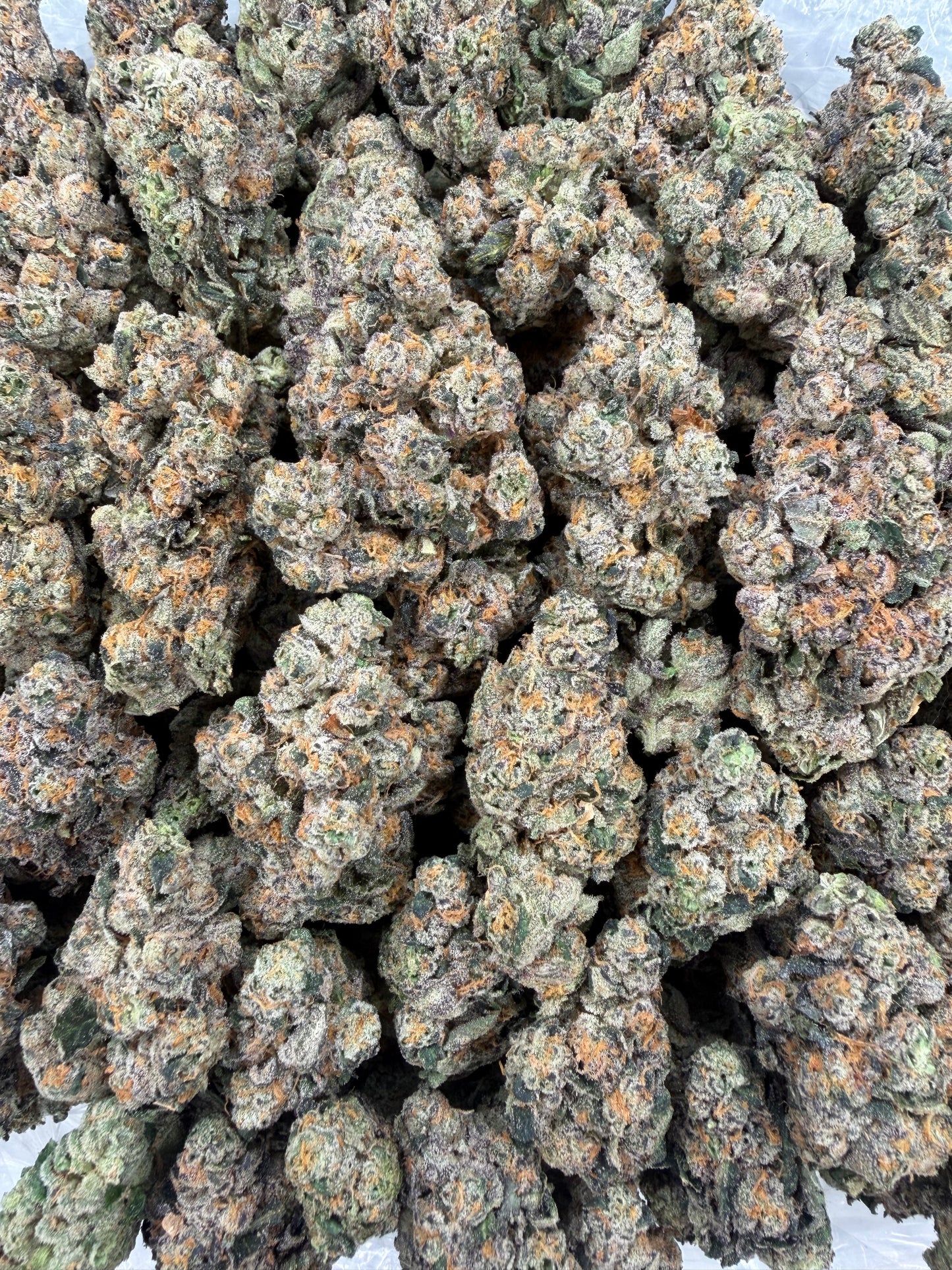 Gassy Toad - 7g