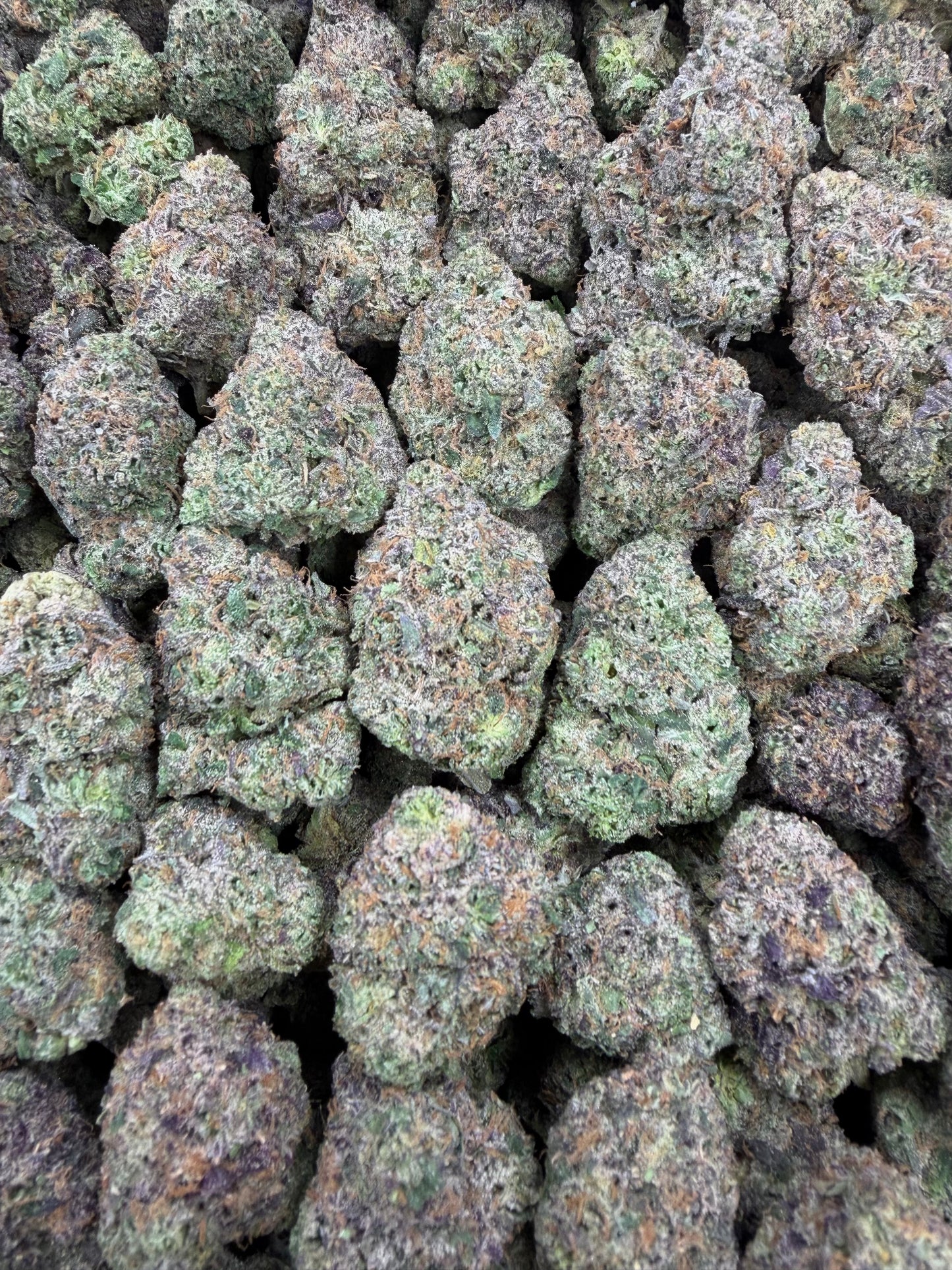 Lemon Cherry Gelato - 28g