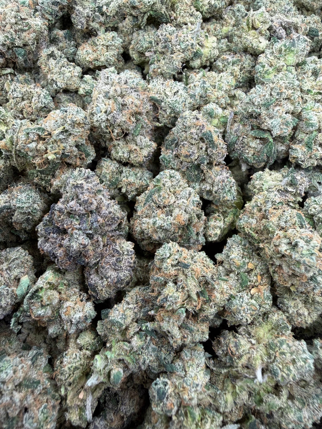 Toad Venom - 7g