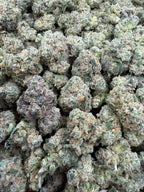 Toad Venom - 7g