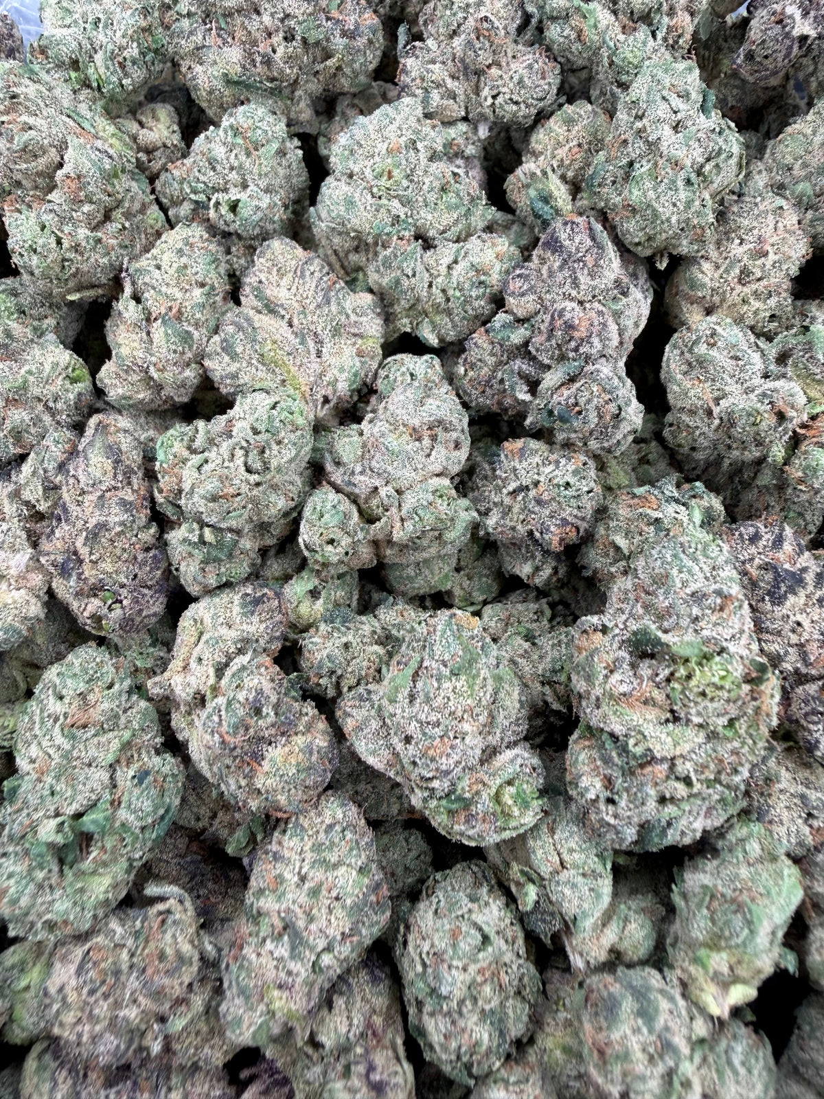 2oz - Gassy Toad x BA