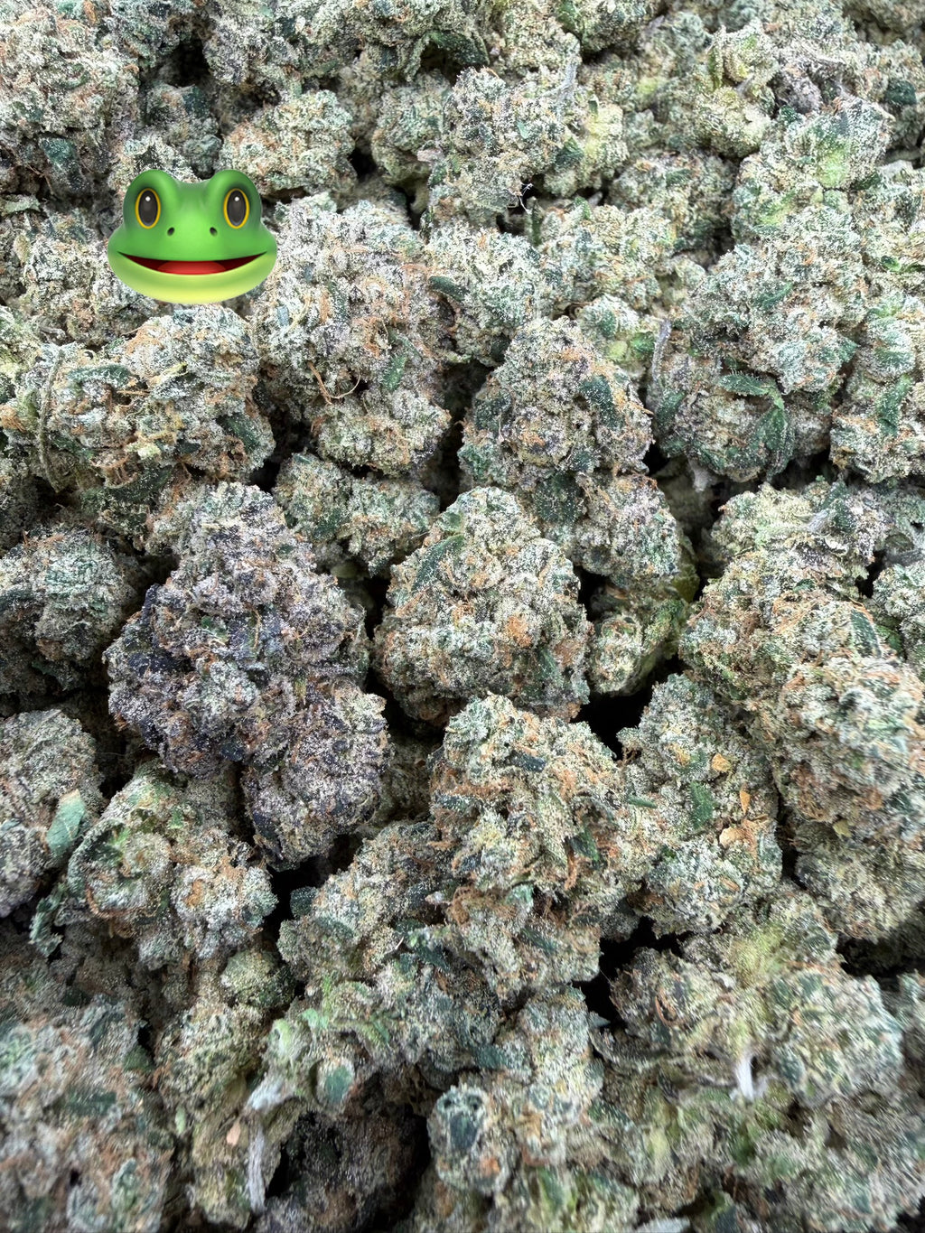 Toad Venom - 7g