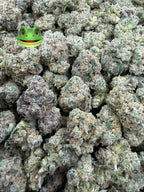 Toad Venom - 7g