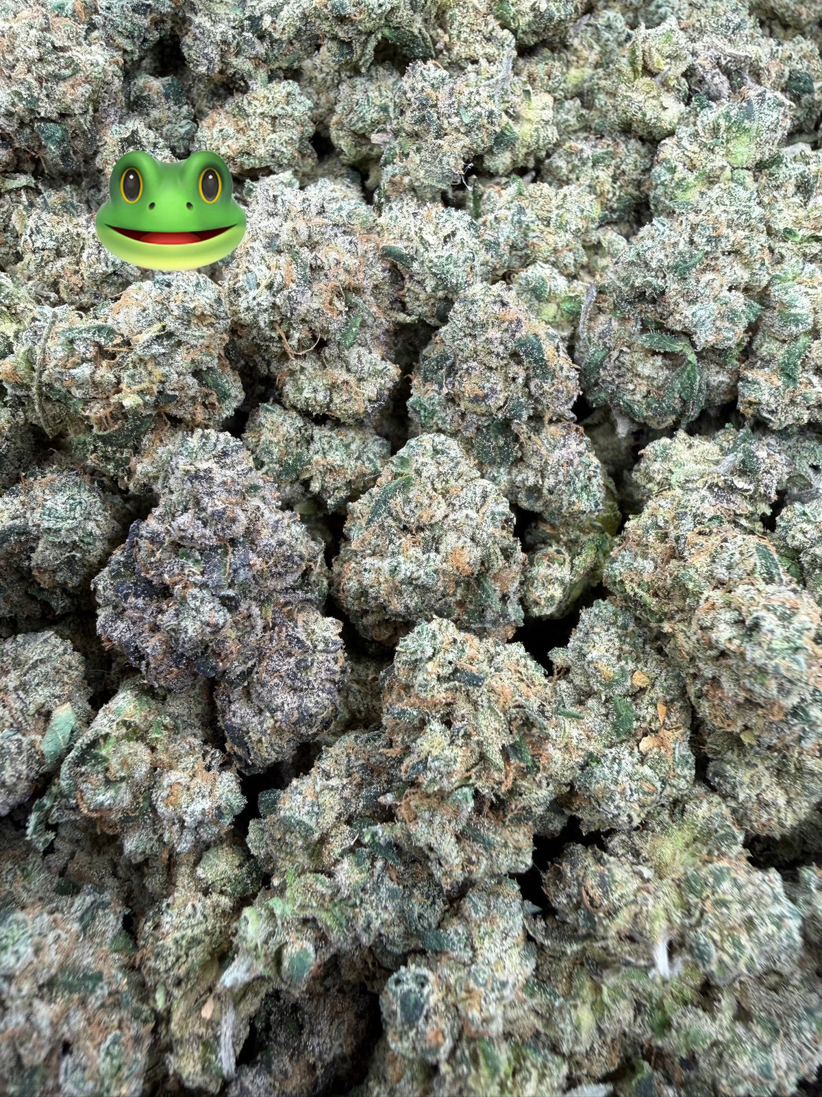 Toad Venom - 16oz