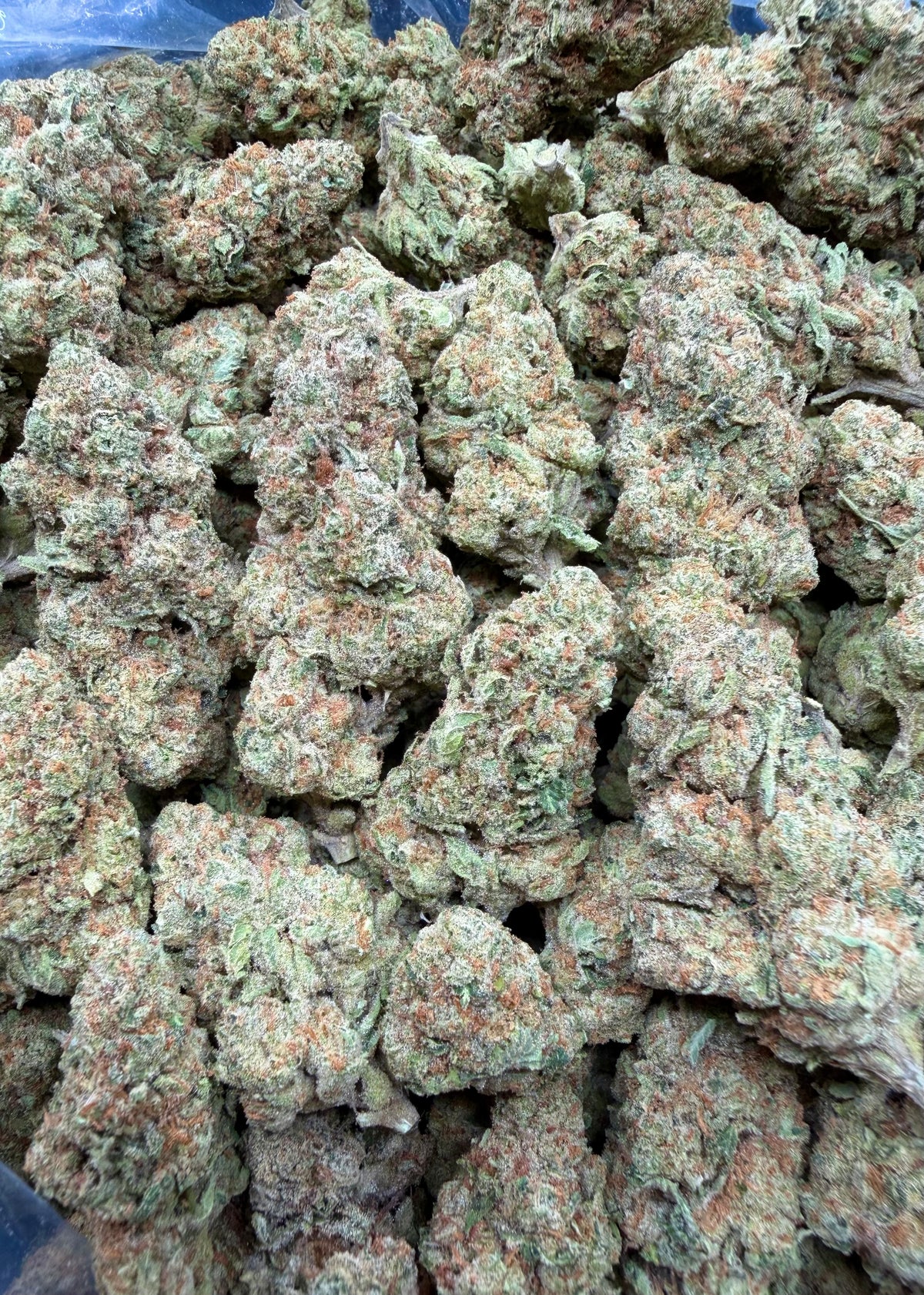 Guapaya- 16oz