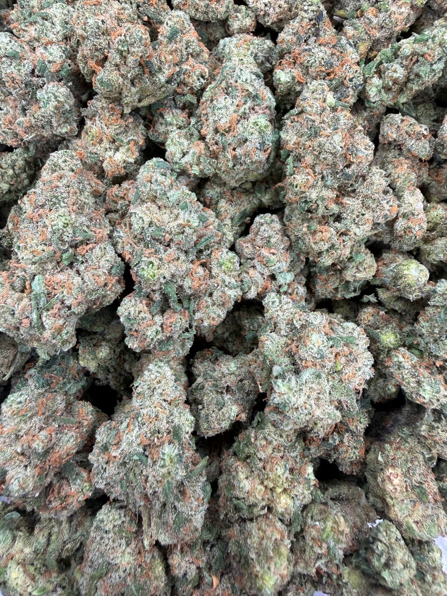 Jack Herer - 16oz