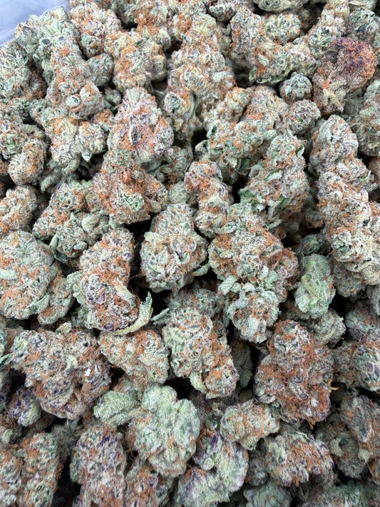Garlicane SM/MD - 16oz