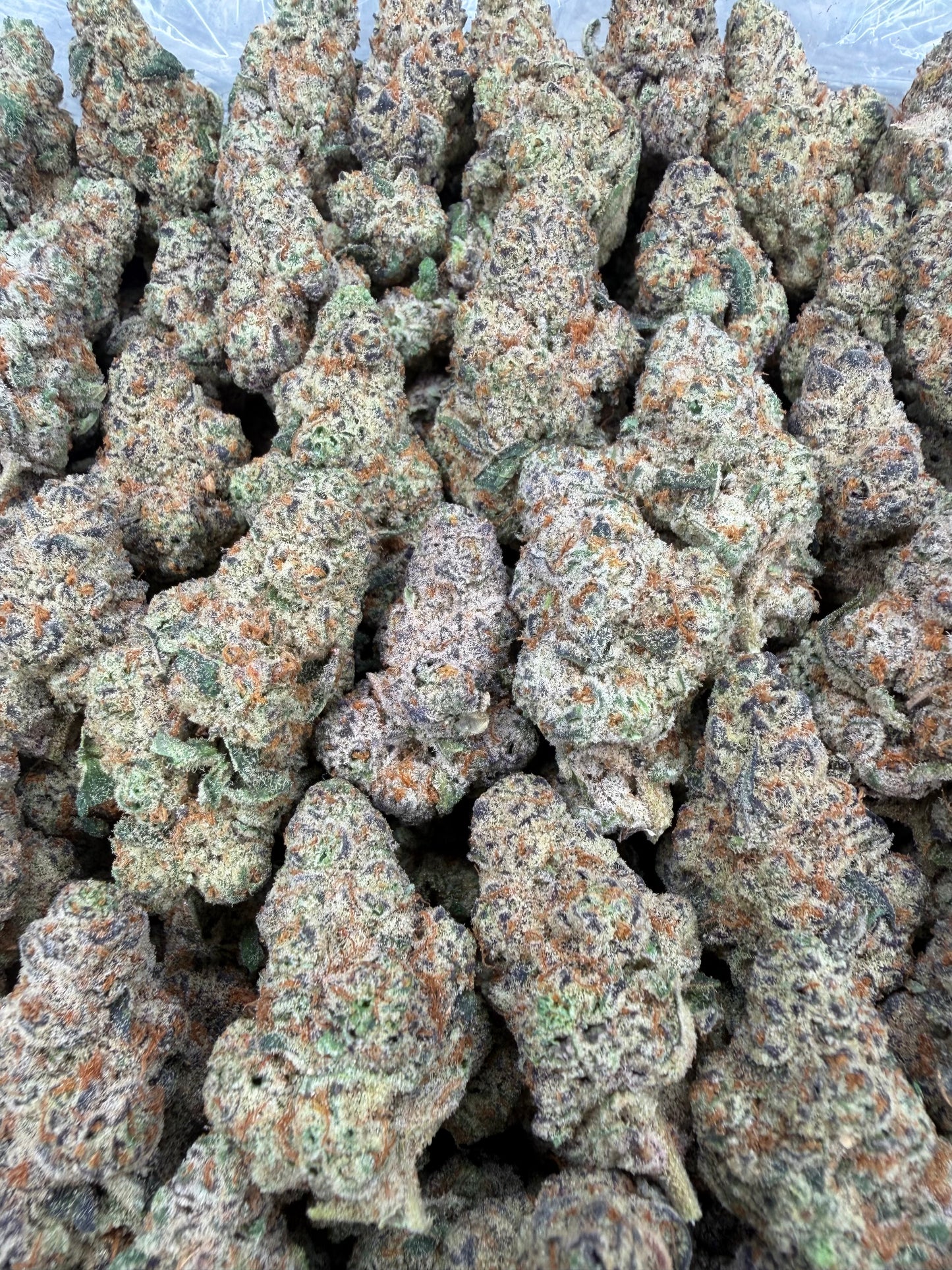 Grape Gas Bigs - 7g