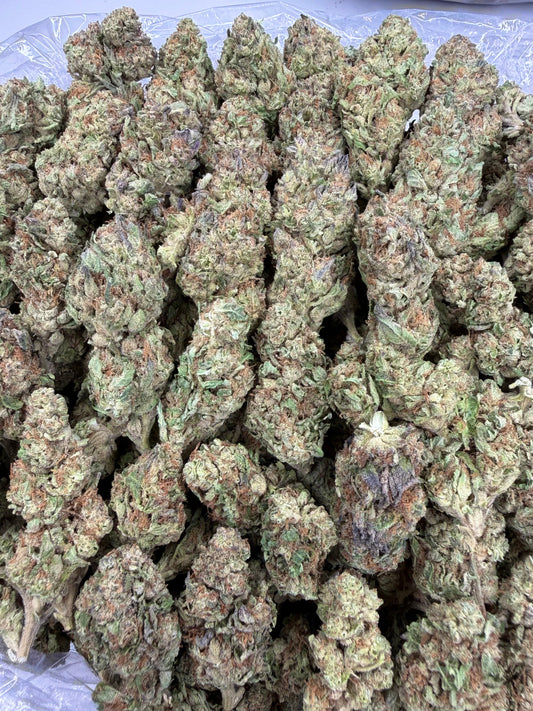 Gusher Runtz - 28g