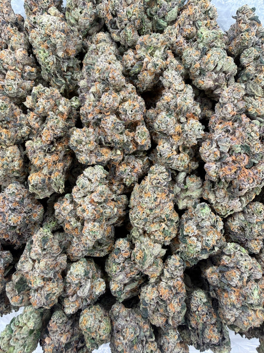 Gassy Toad - 7g
