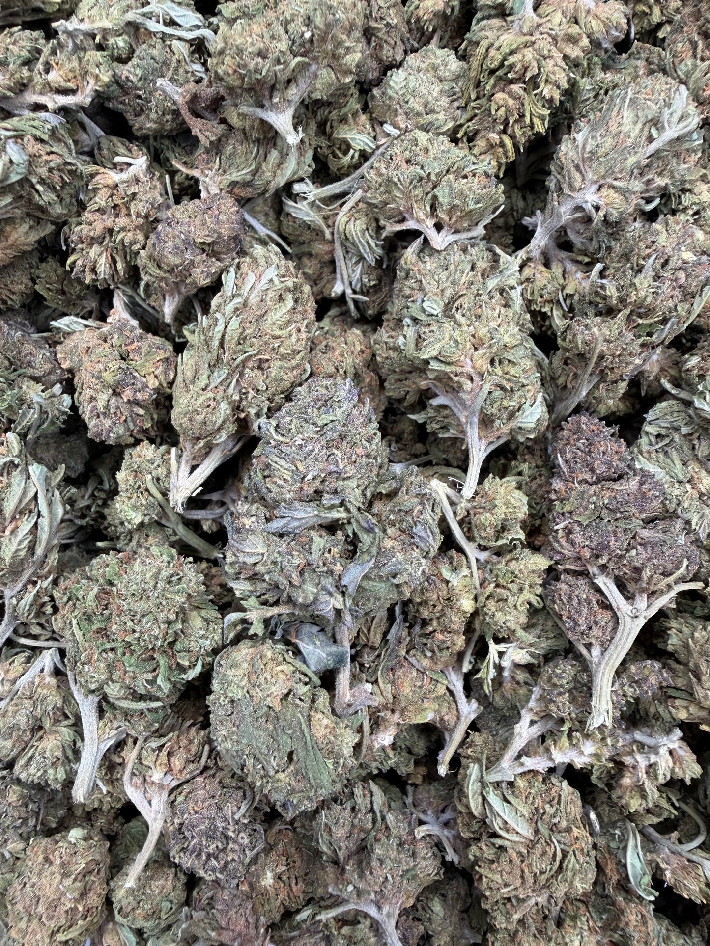 Gelato - 16oz