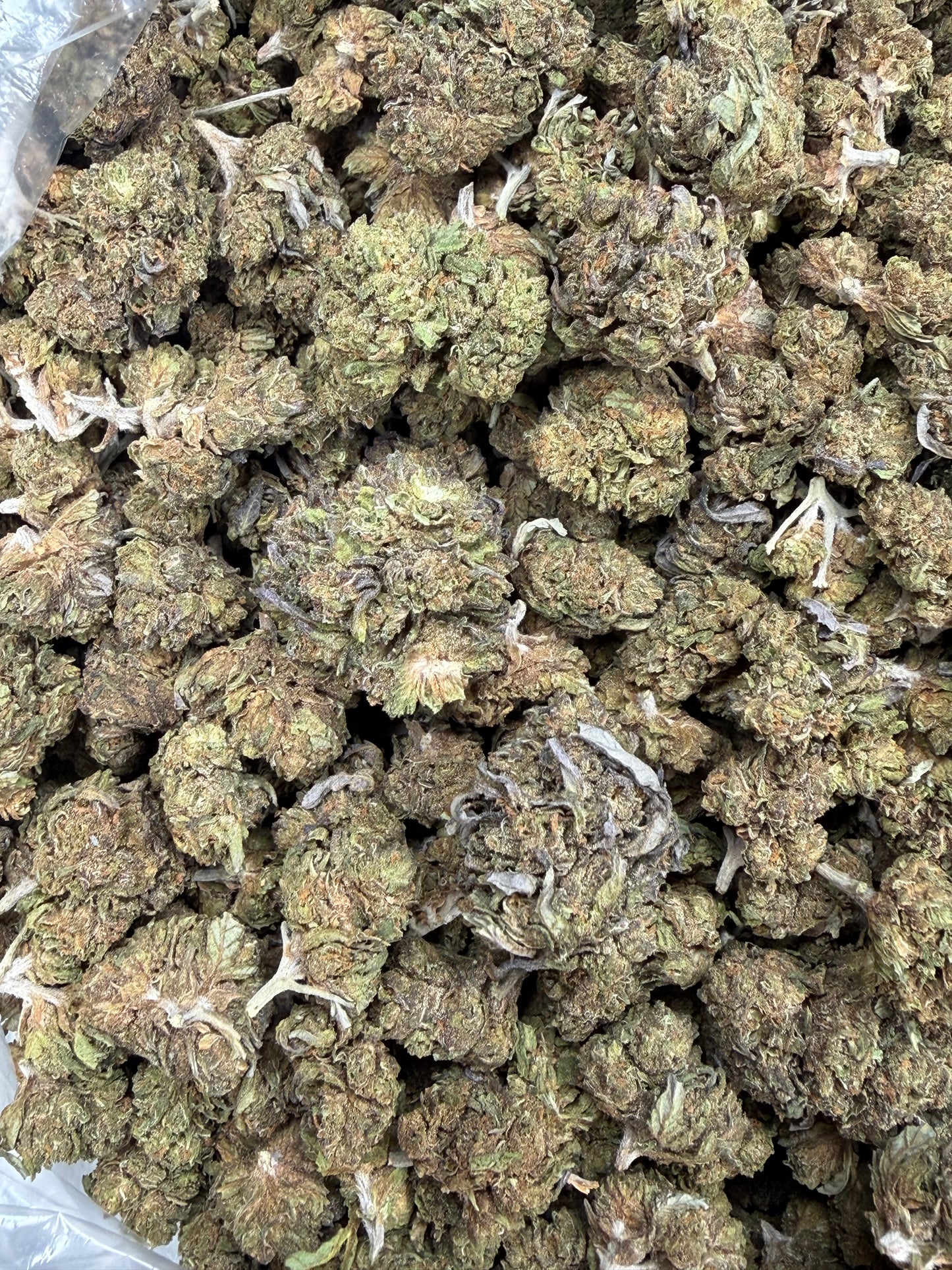Gelato Cake Smalls - 16oz