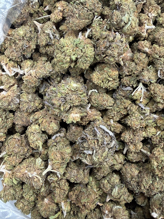 Gelato Cake Smalls - 16oz
