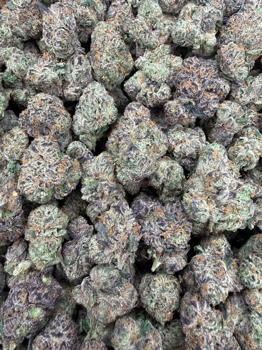 Bubblegum Gelato - 16oz