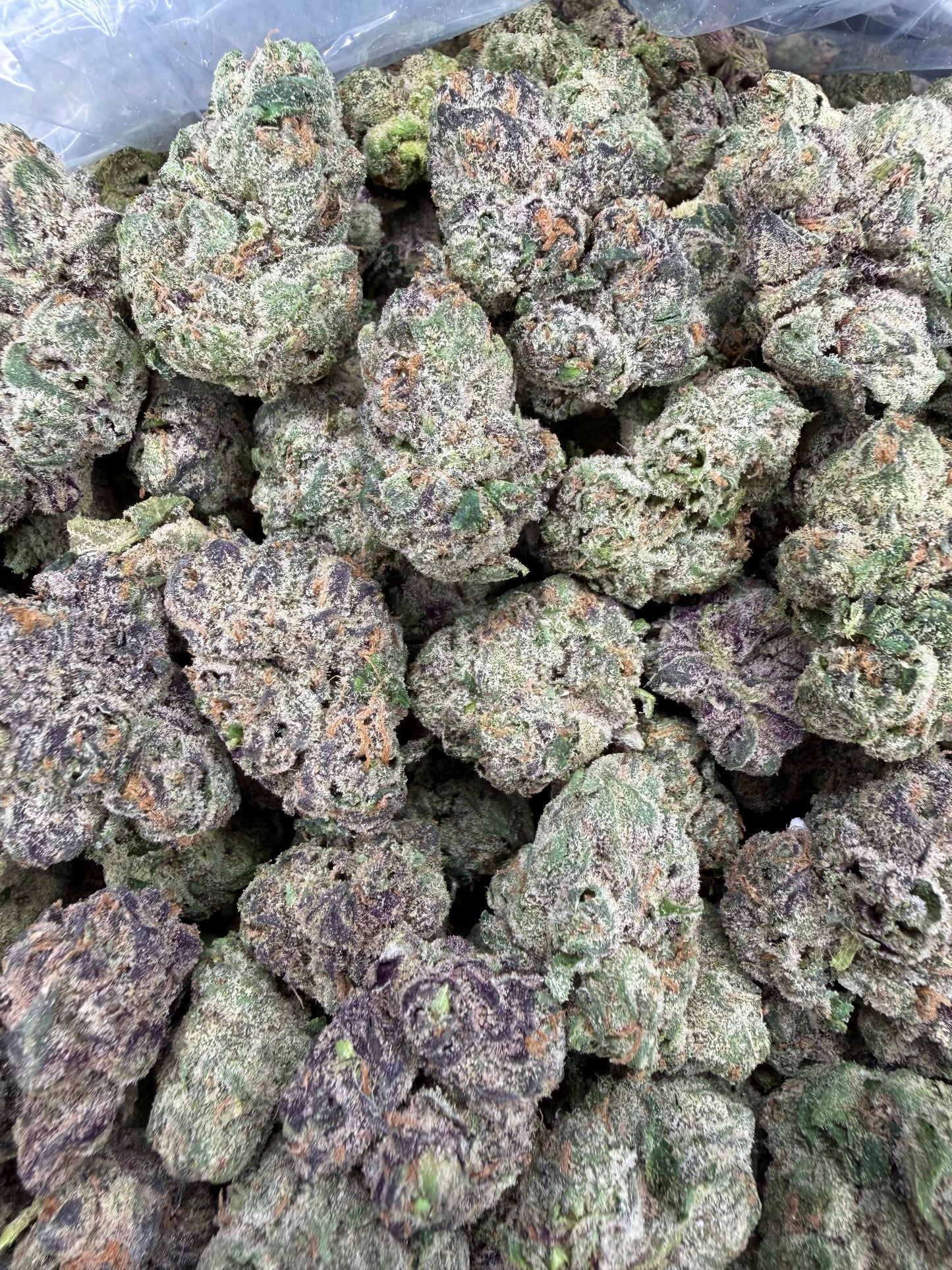 Gelato Runtz - 16oz