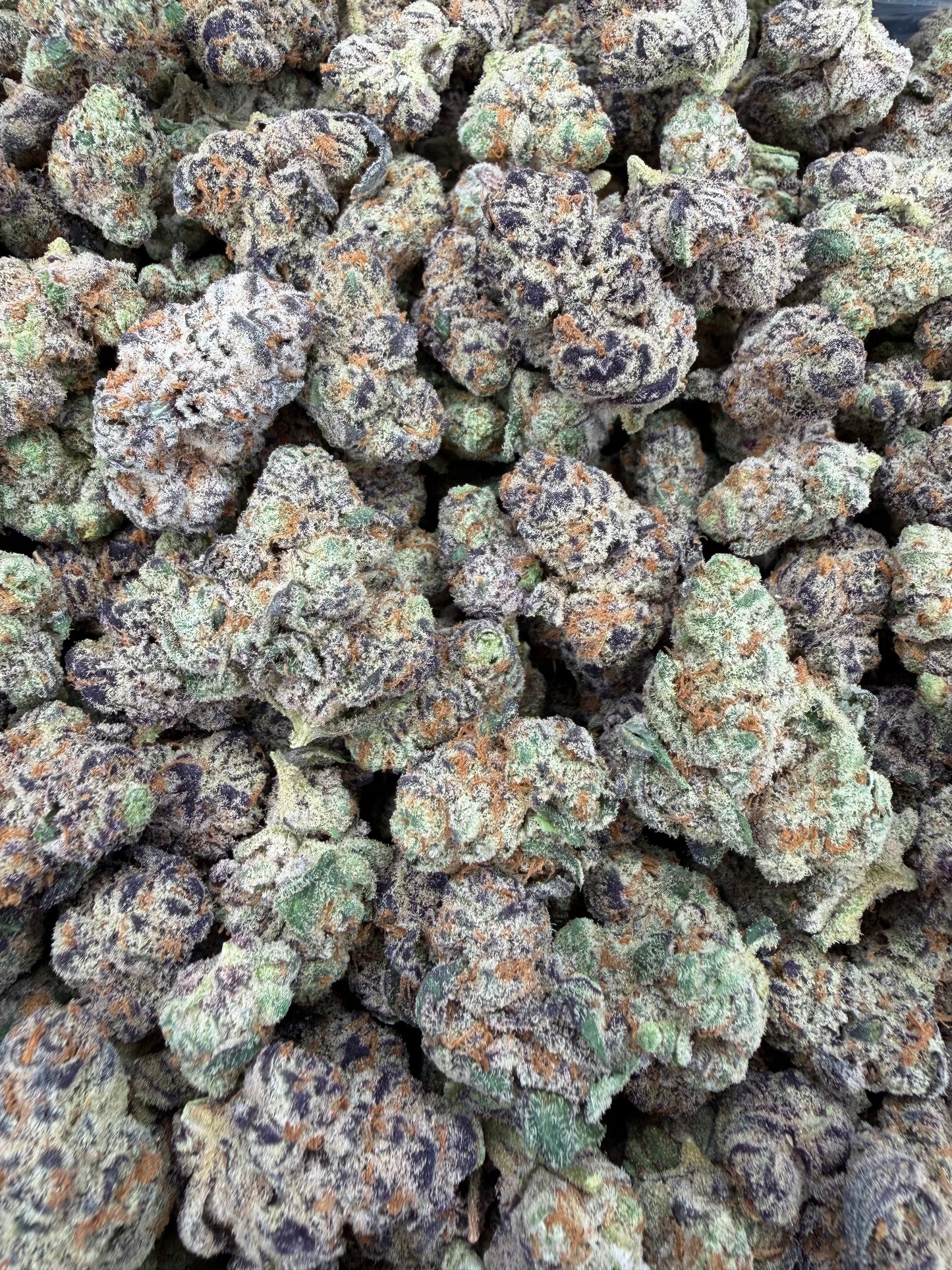 Purple Grape Gas SM/MD - 16oz