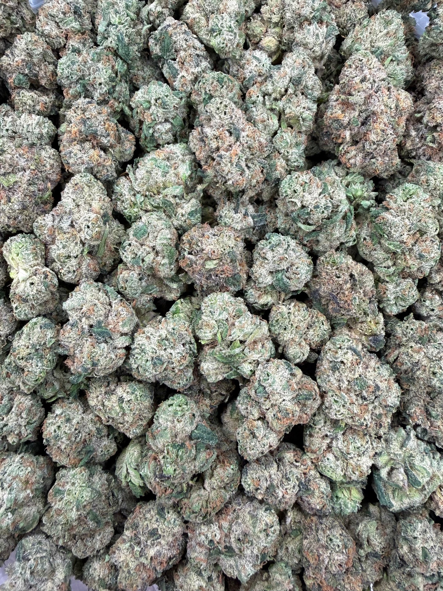 MJ Mintz x Blue Andeze - 16oz