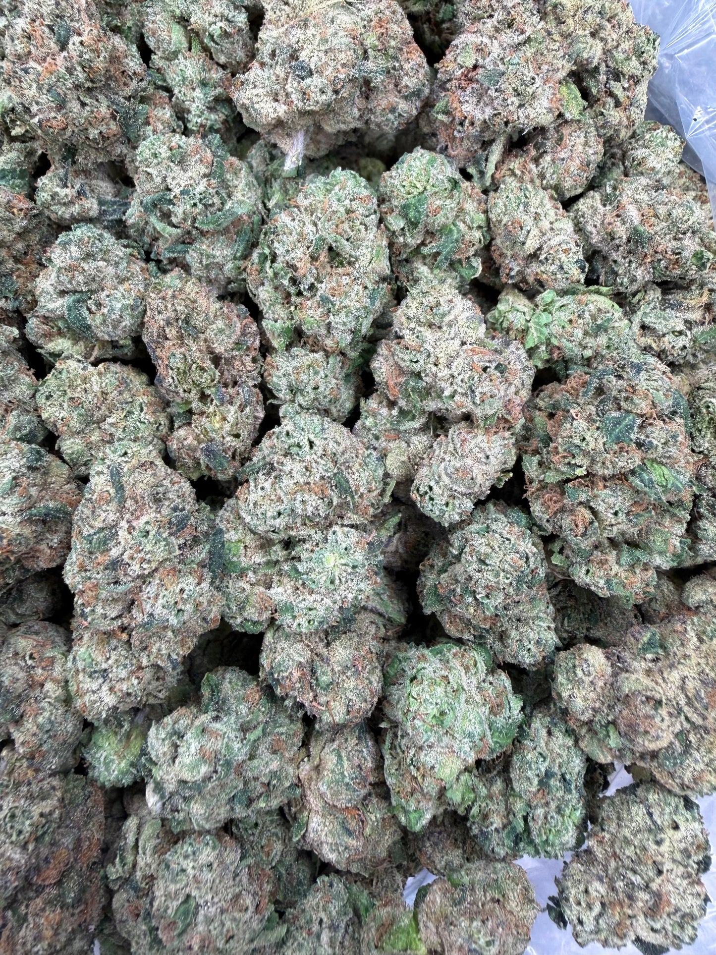 MJ Mintz x Blue Andeze - 16oz