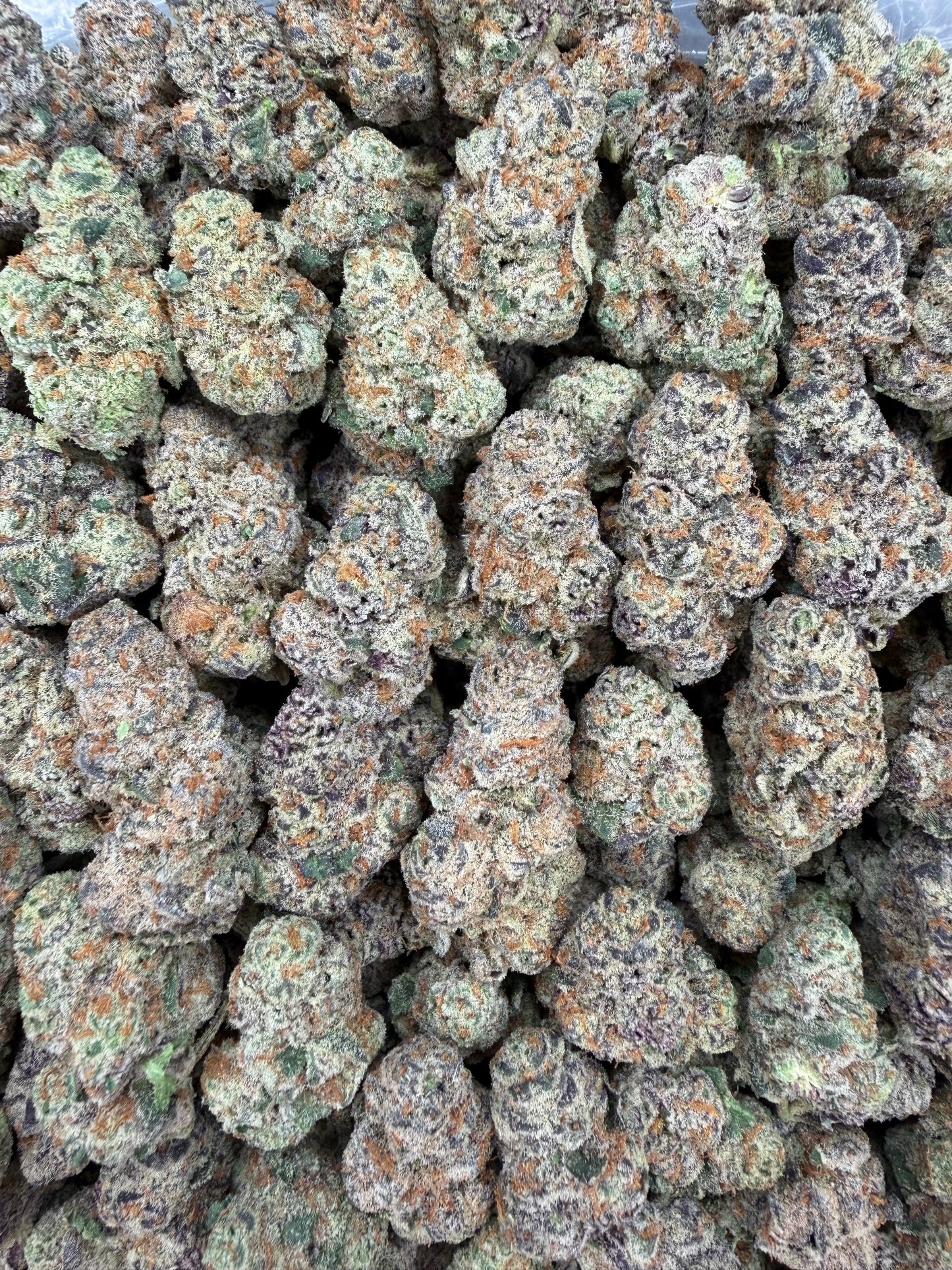 Glitter Bomb - 16oz