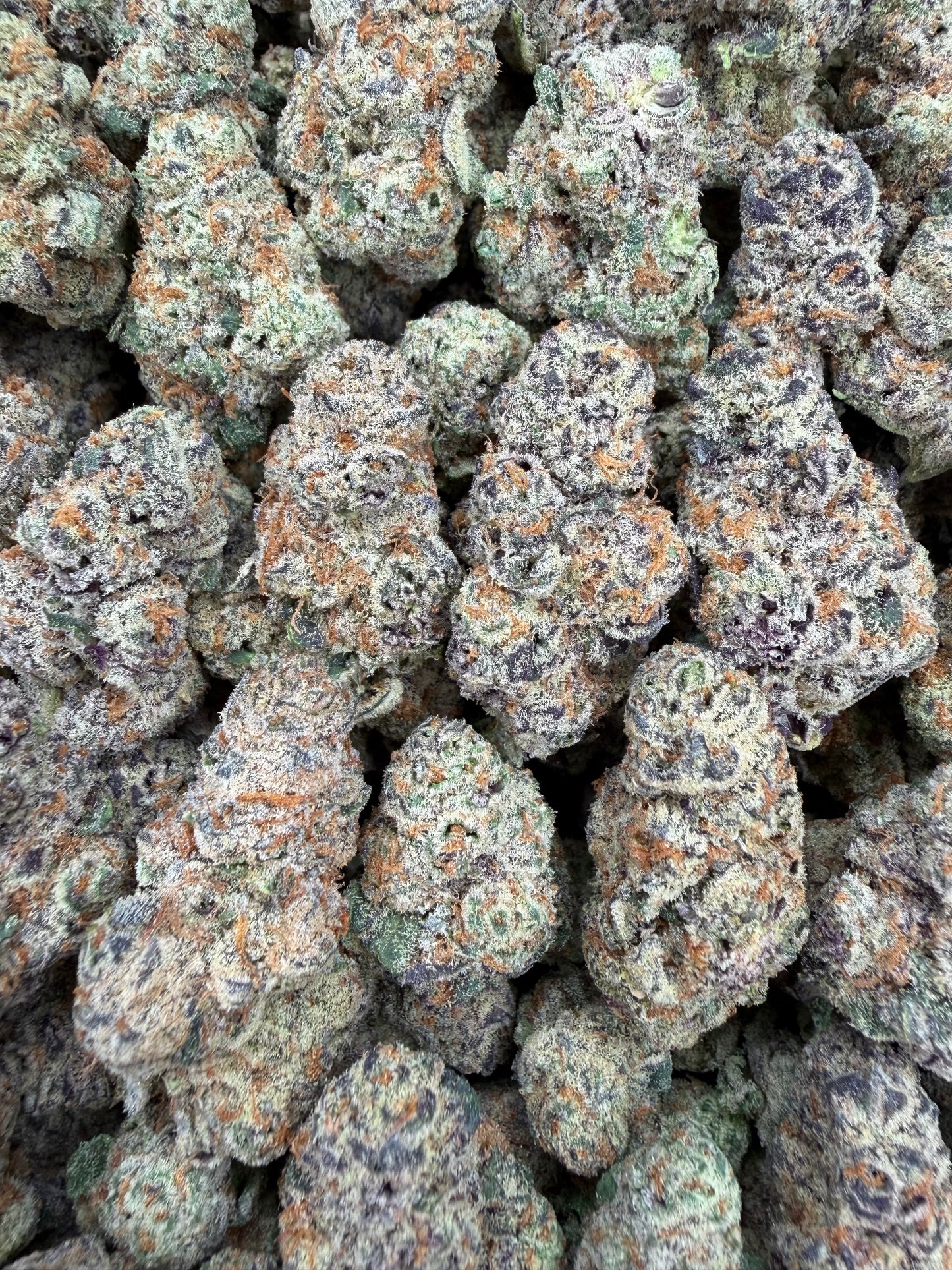 Glitter Bomb - 16oz