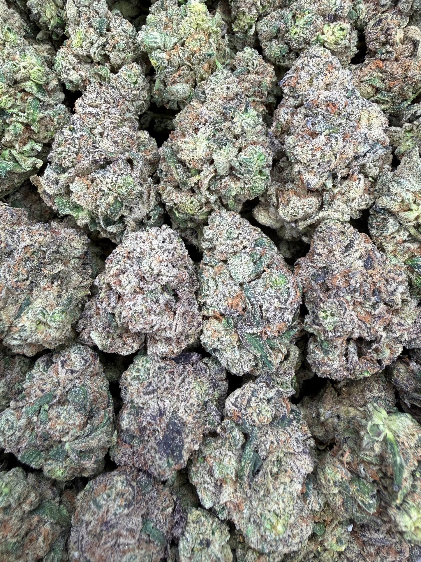 LA Pop Rocks x PPP - 16oz