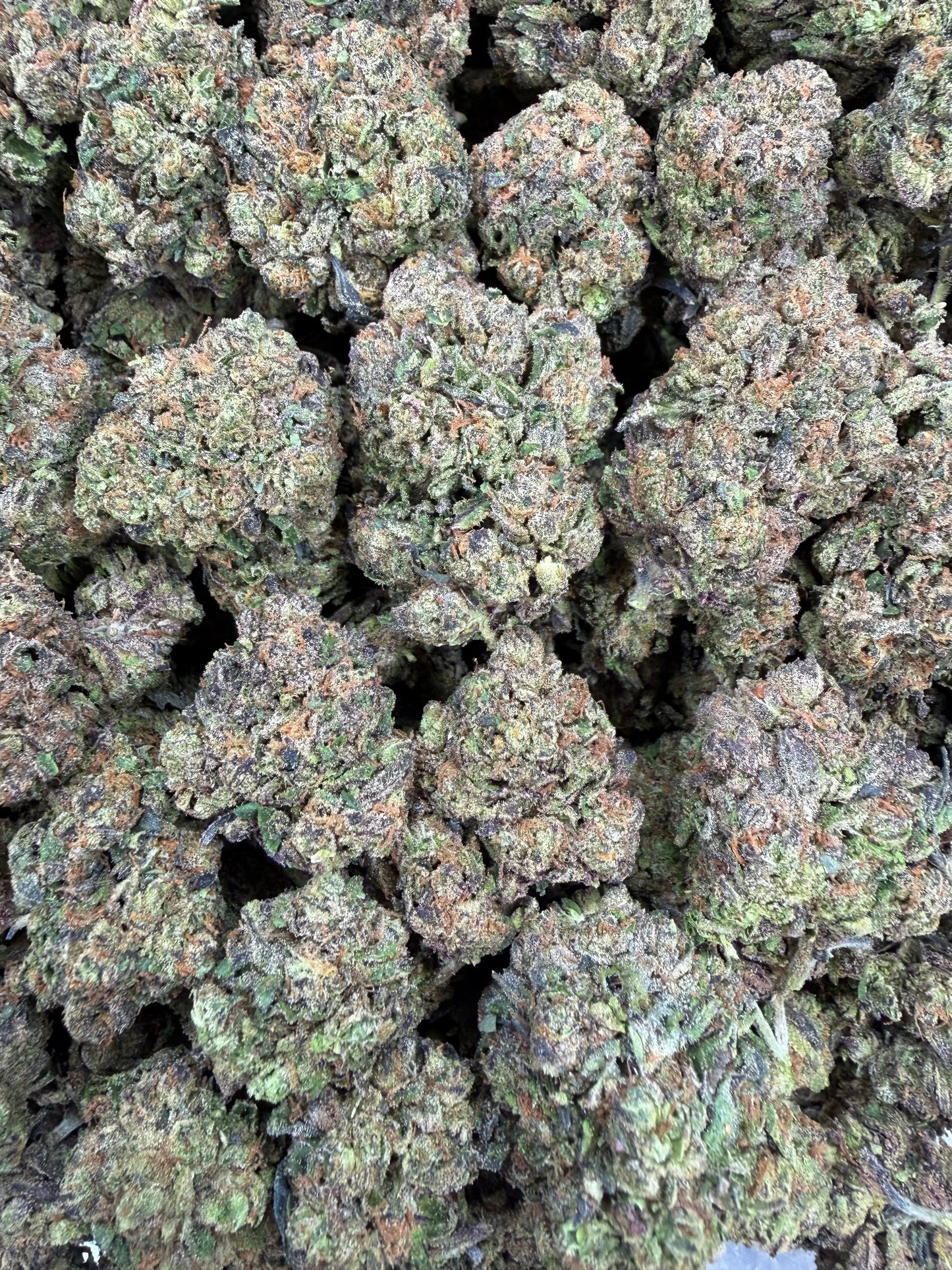 Purple Galaxy - 16oz