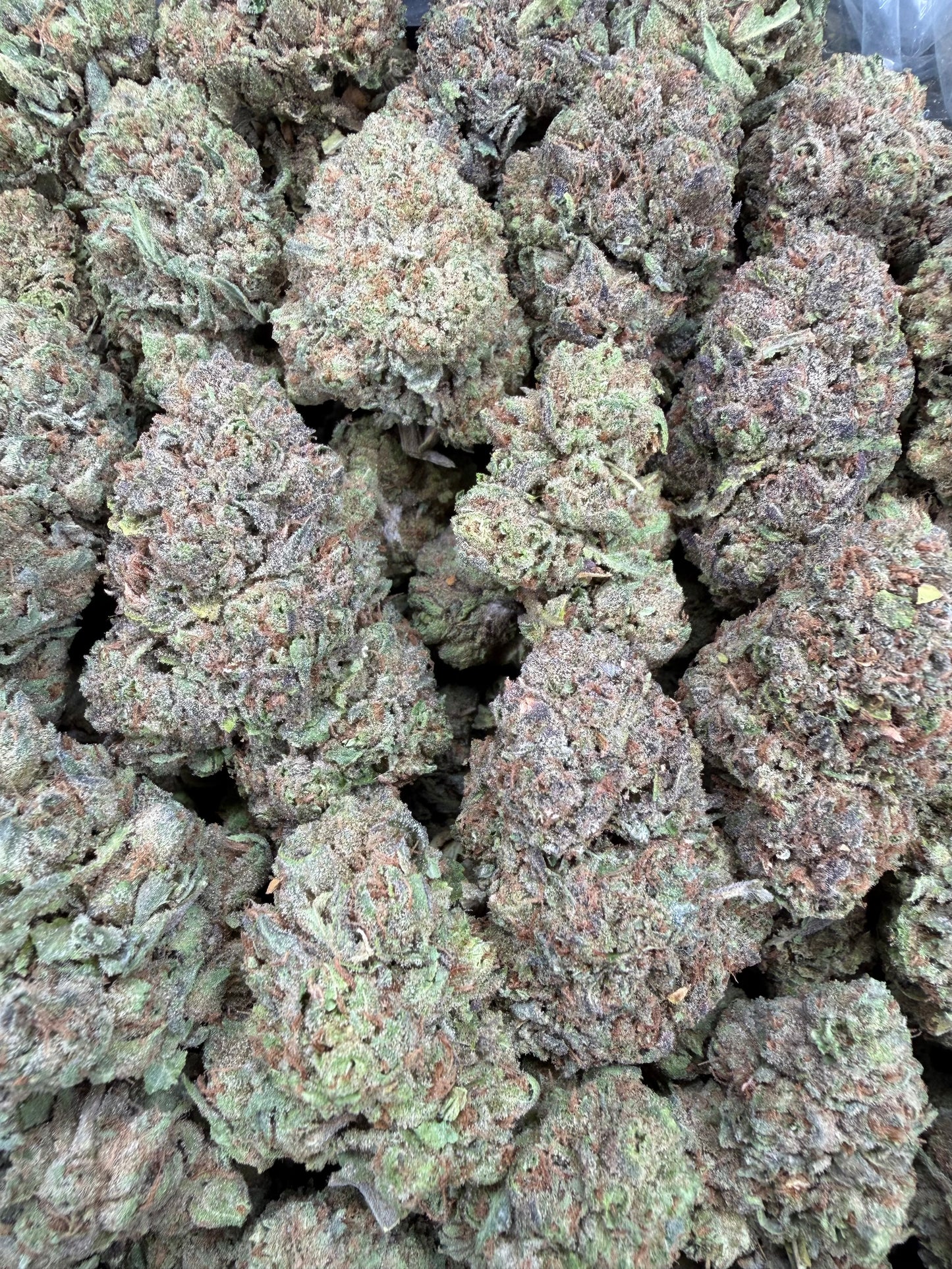 Lemon Cherry Gelato- 16oz