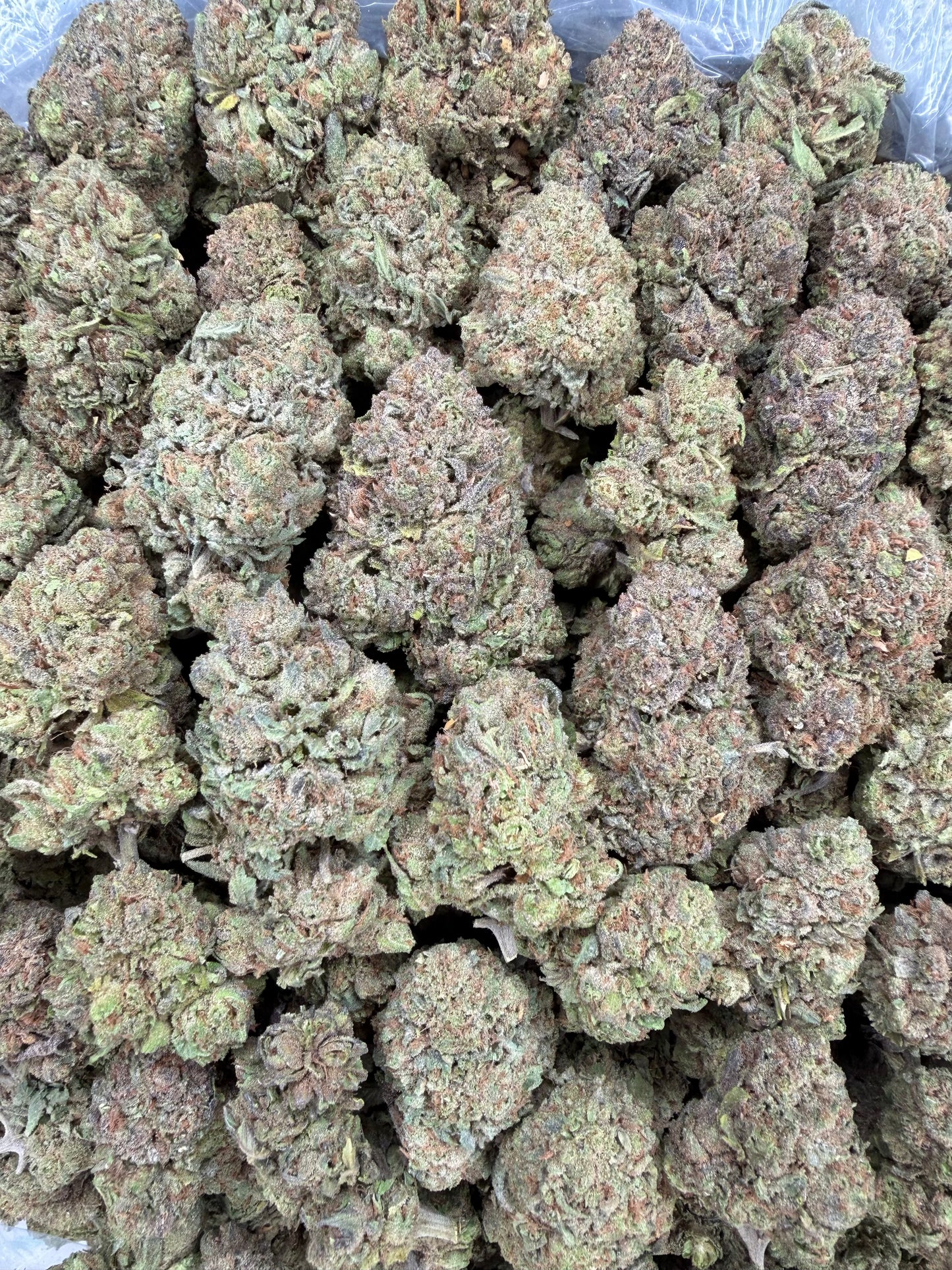 Lemon Cherry Gelato- 16oz