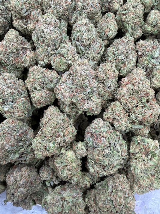 White Nerds - 16oz