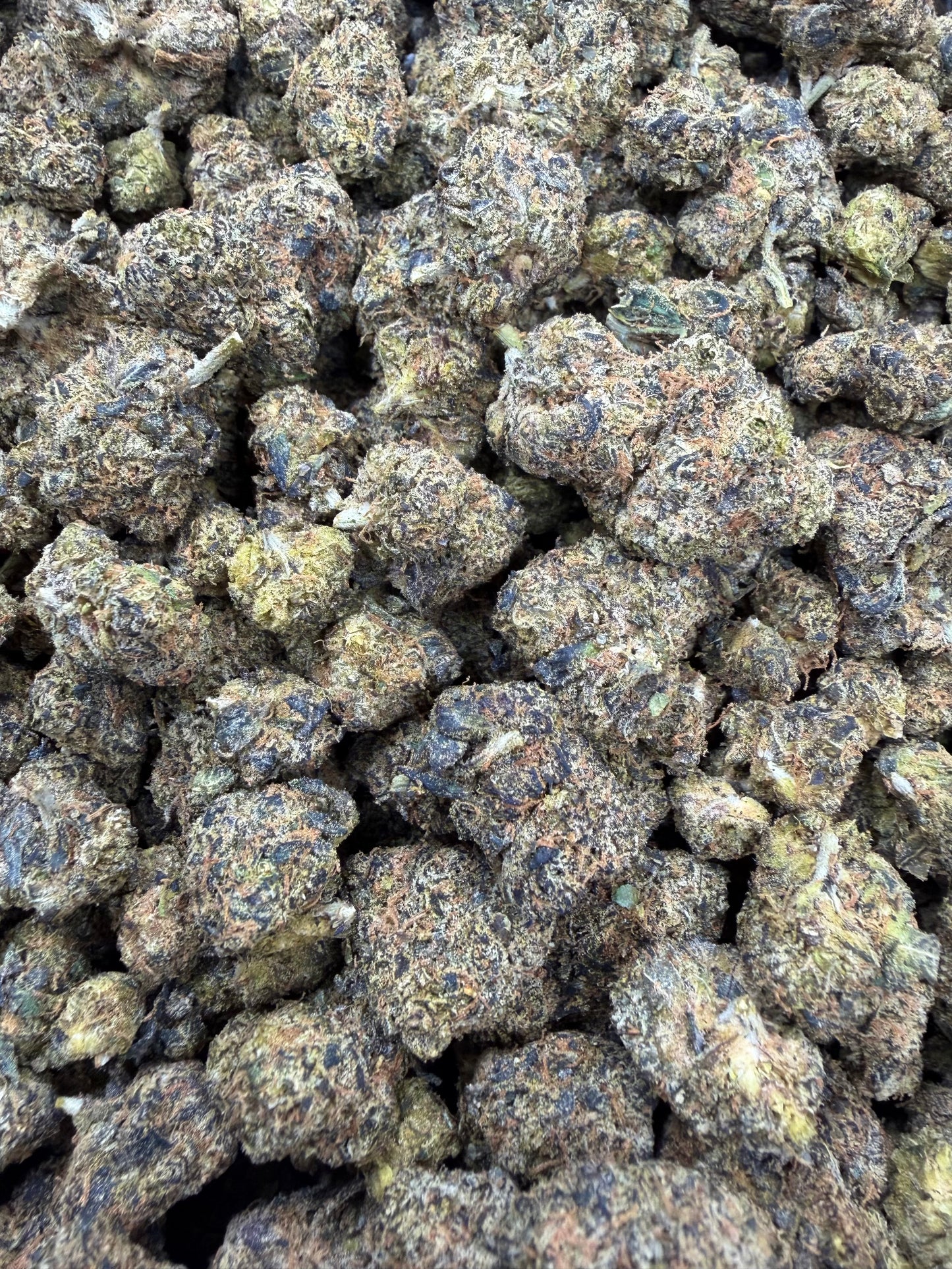 Black Cherry Gelato - 2oz