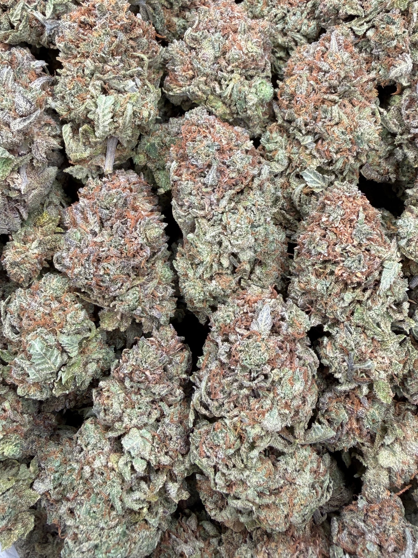 Platinum Bubba - 16oz