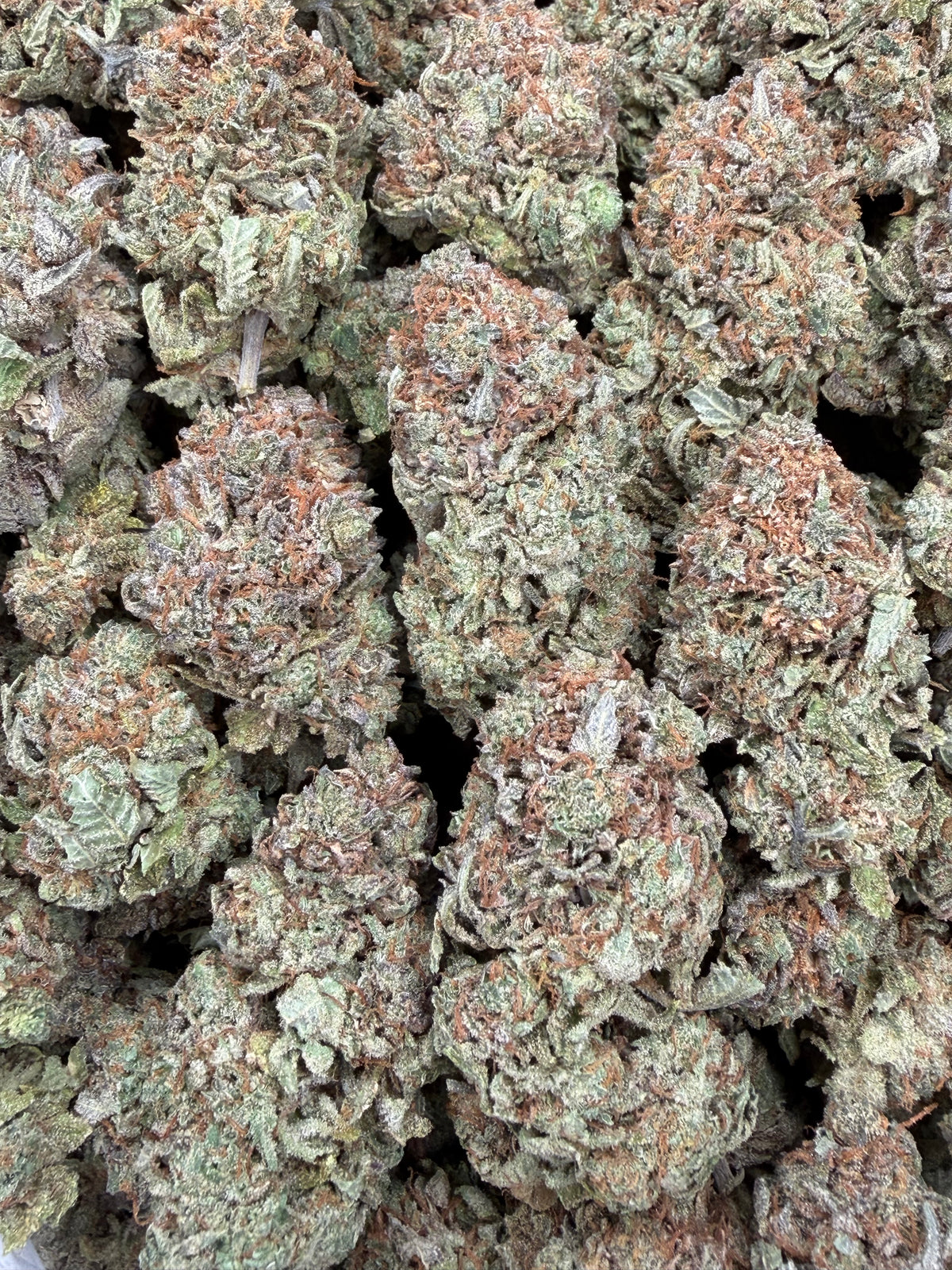 Platinum Bubba - 16oz