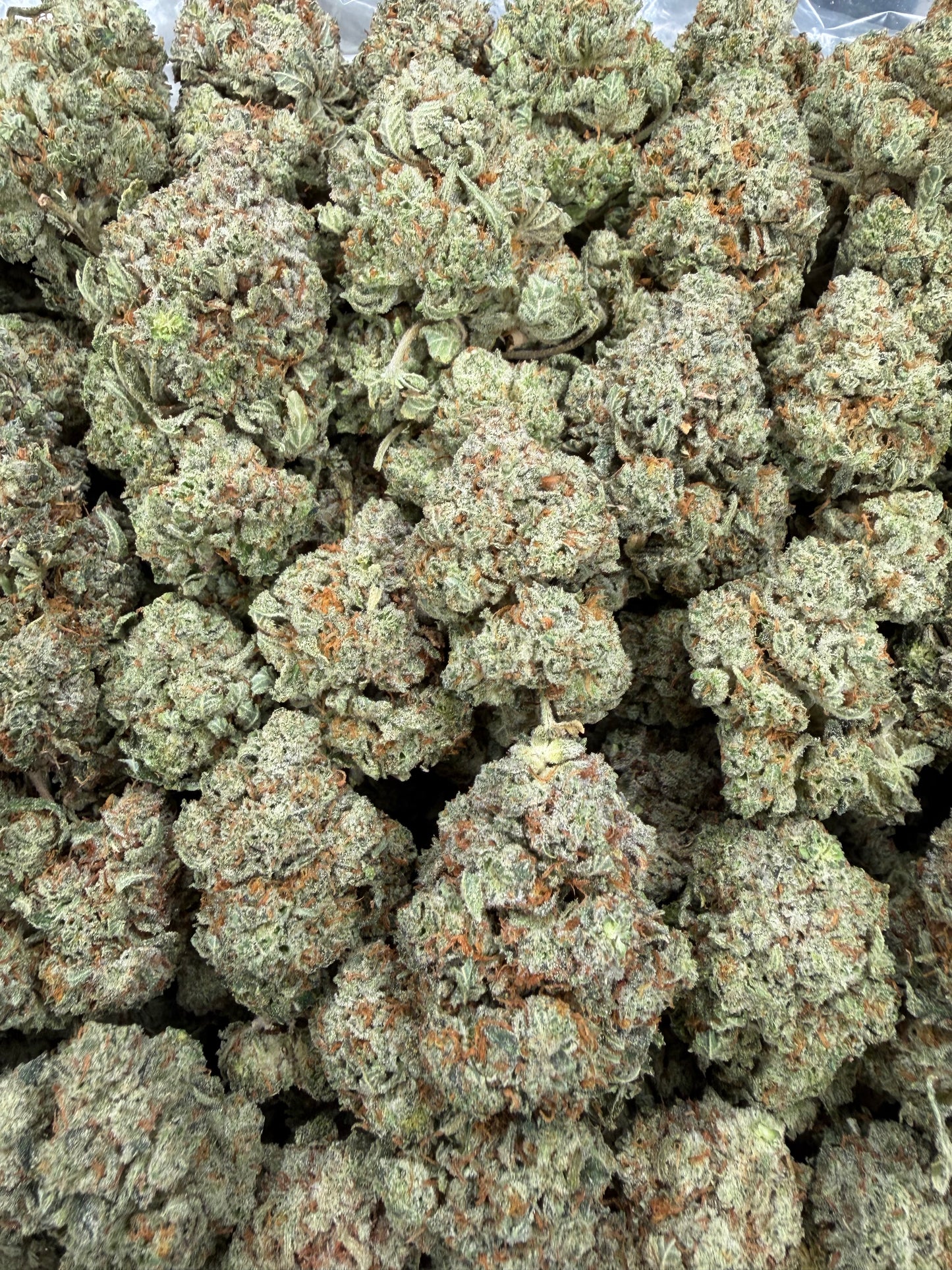 Super Gorilla Glue - 16oz