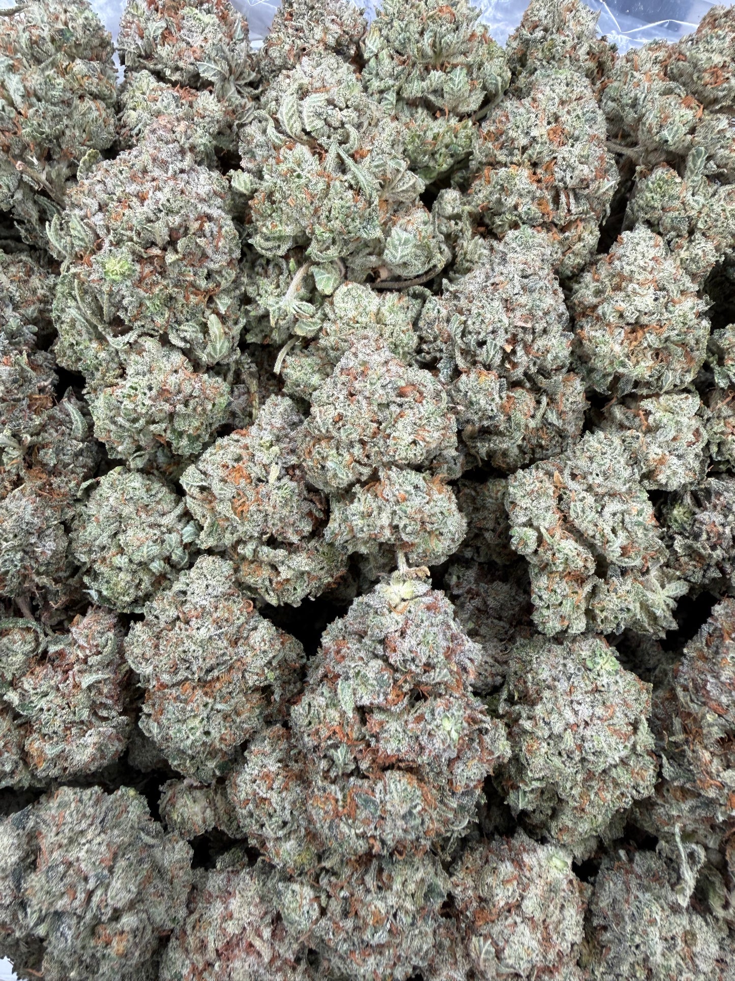 Super Gorilla Glue - 16oz
