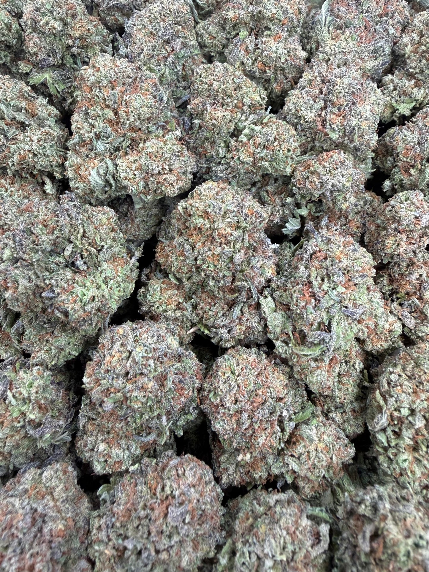 Toad x LCG - 16oz