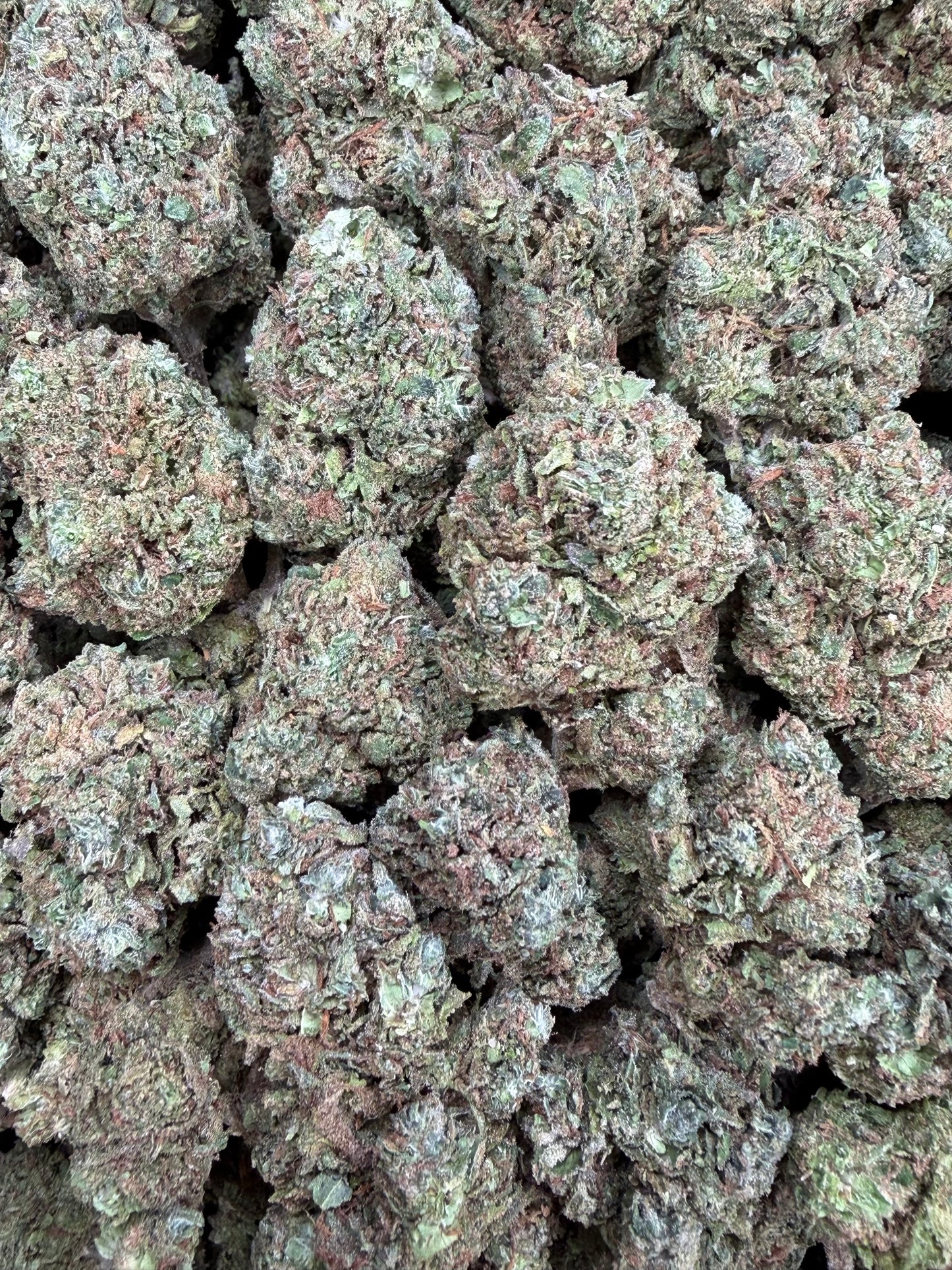 Candy Gas - 16oz