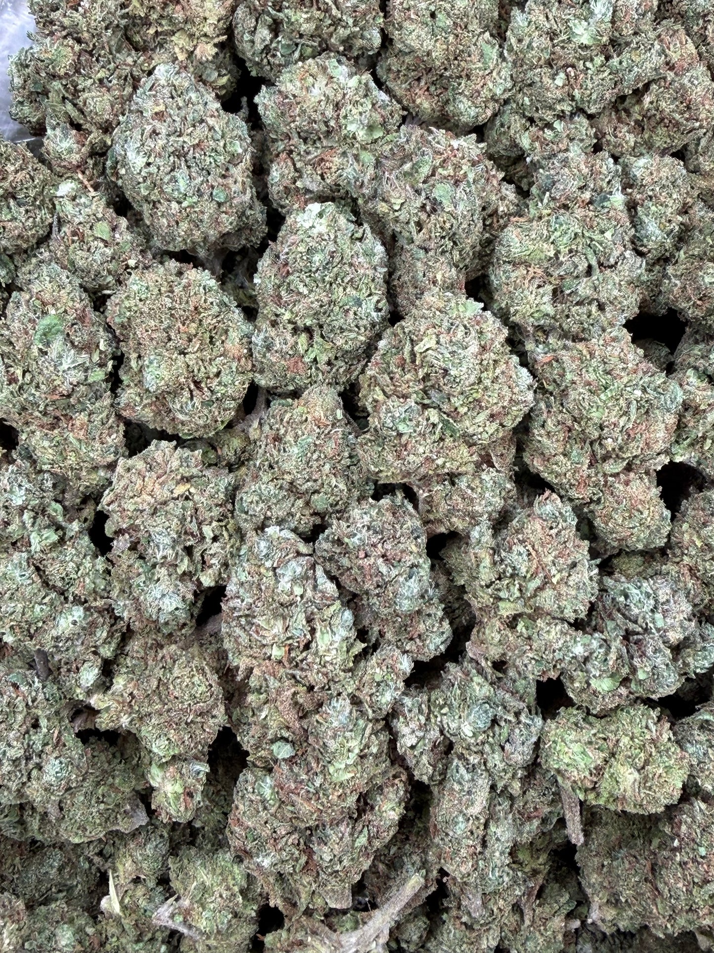 Candy Gas - 16oz
