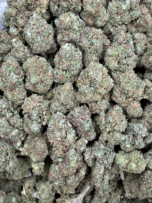 Candy Gas - 16oz
