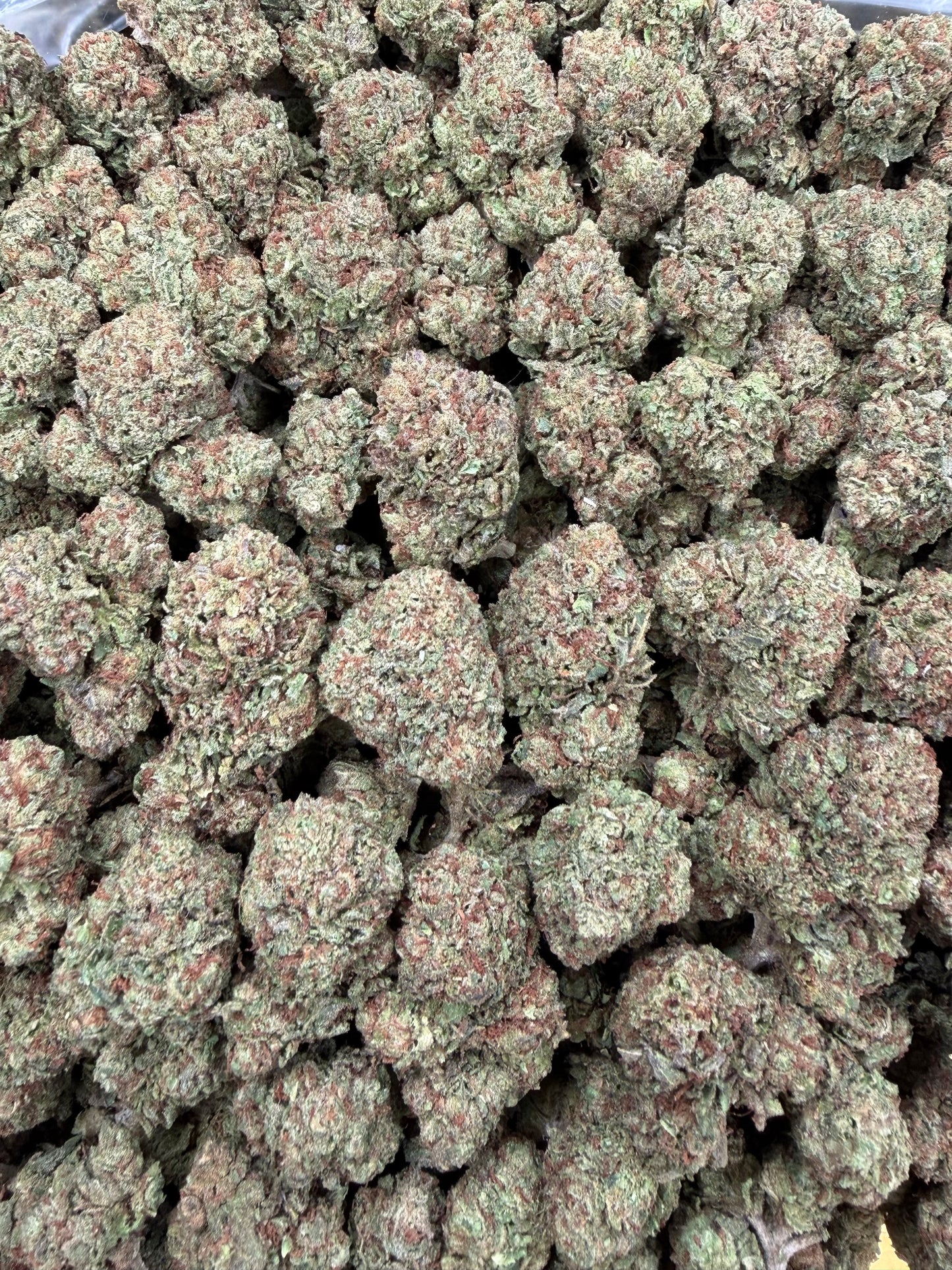 Lemon Cherry Pie - 16oz
