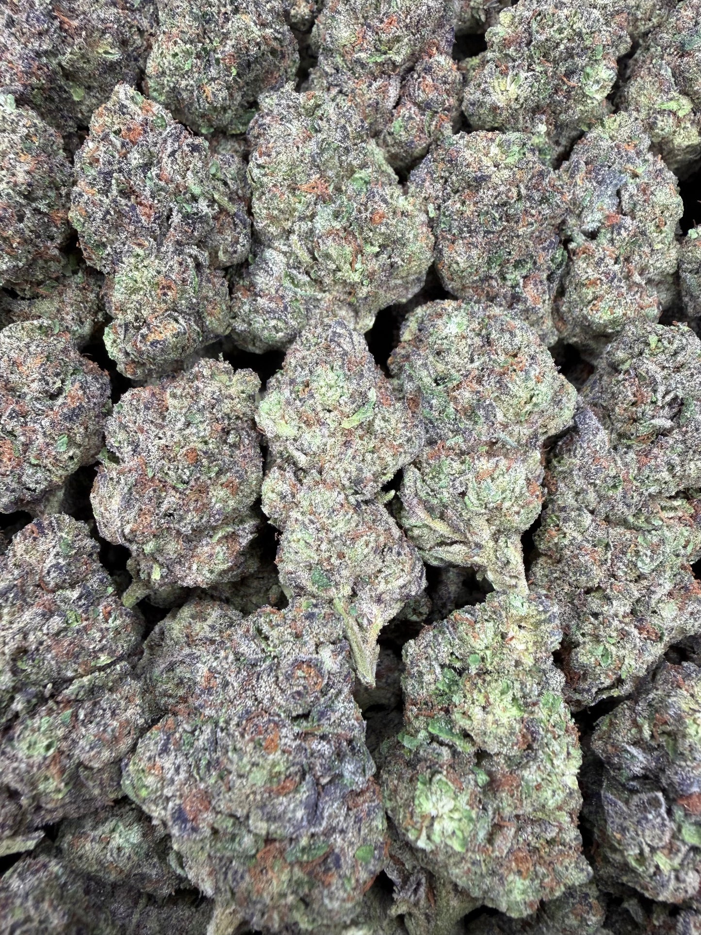 Animal Cookies - 16oz