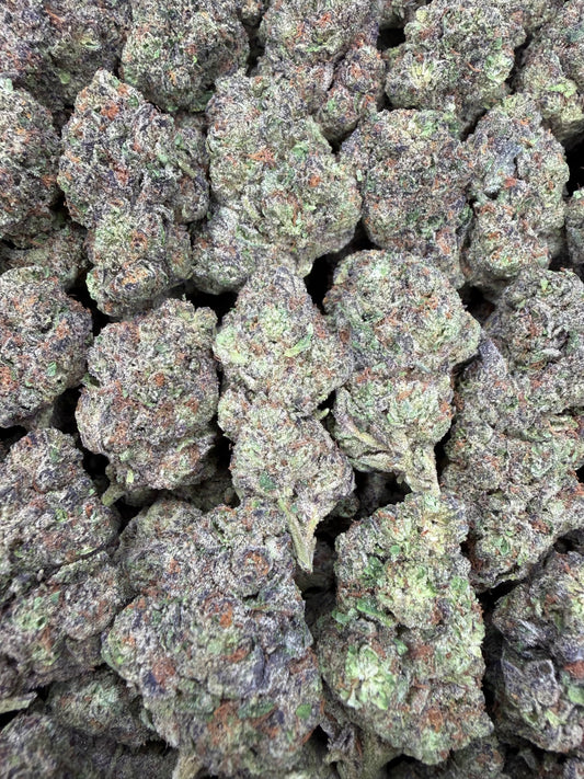 Animal Cookies - 16oz