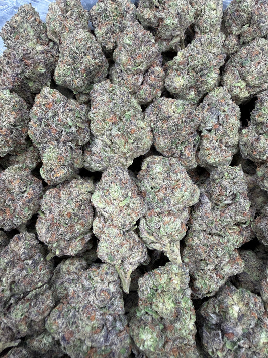 Animal Cookies - 16oz