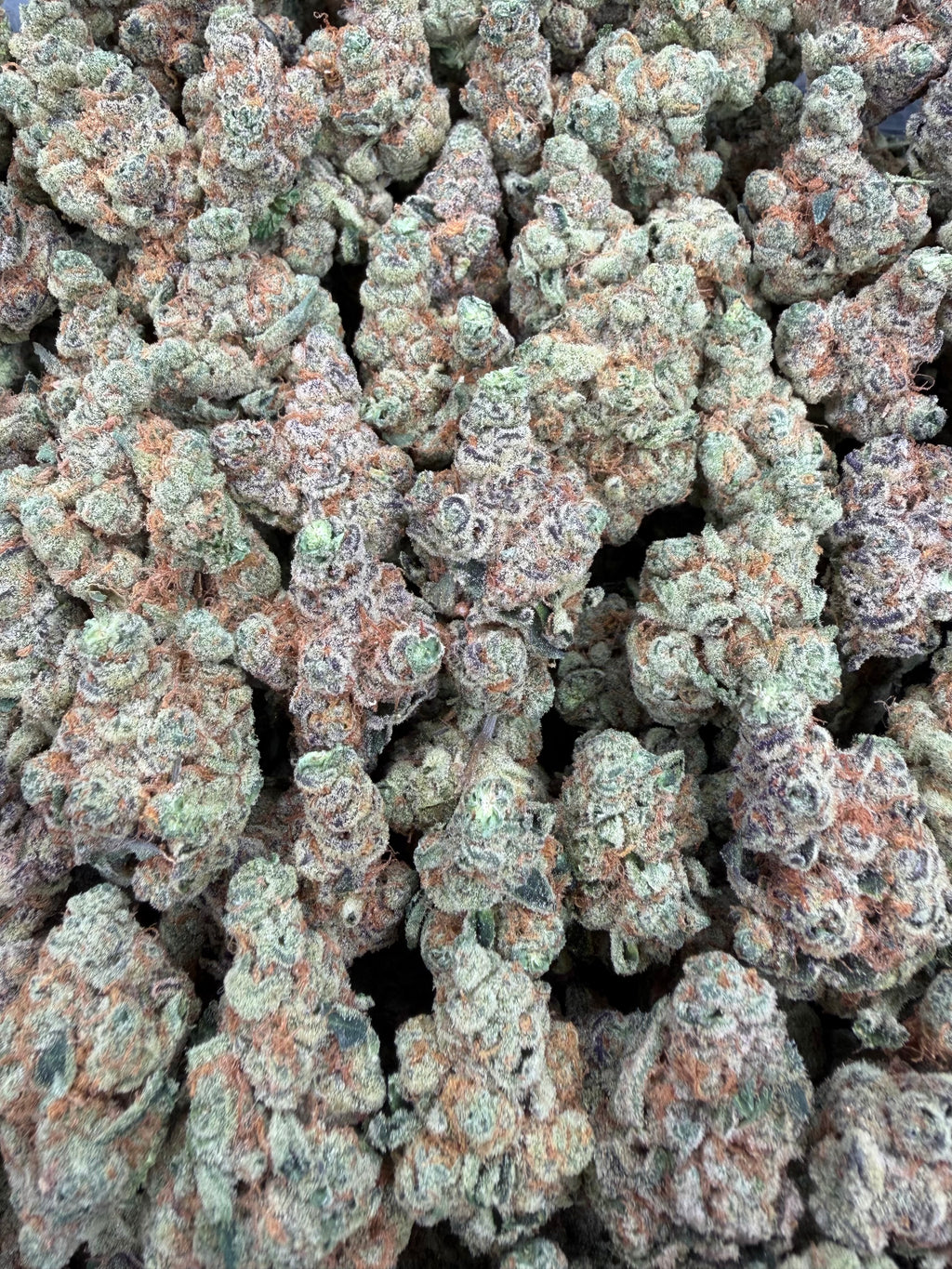 Garlicane 8oz