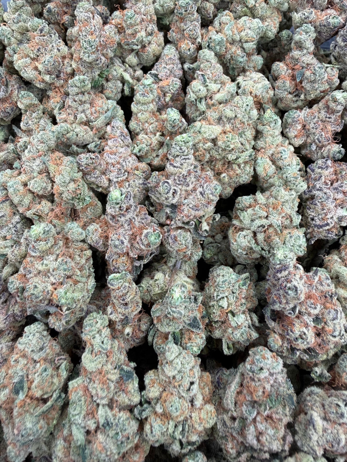 Garlicane 4oz