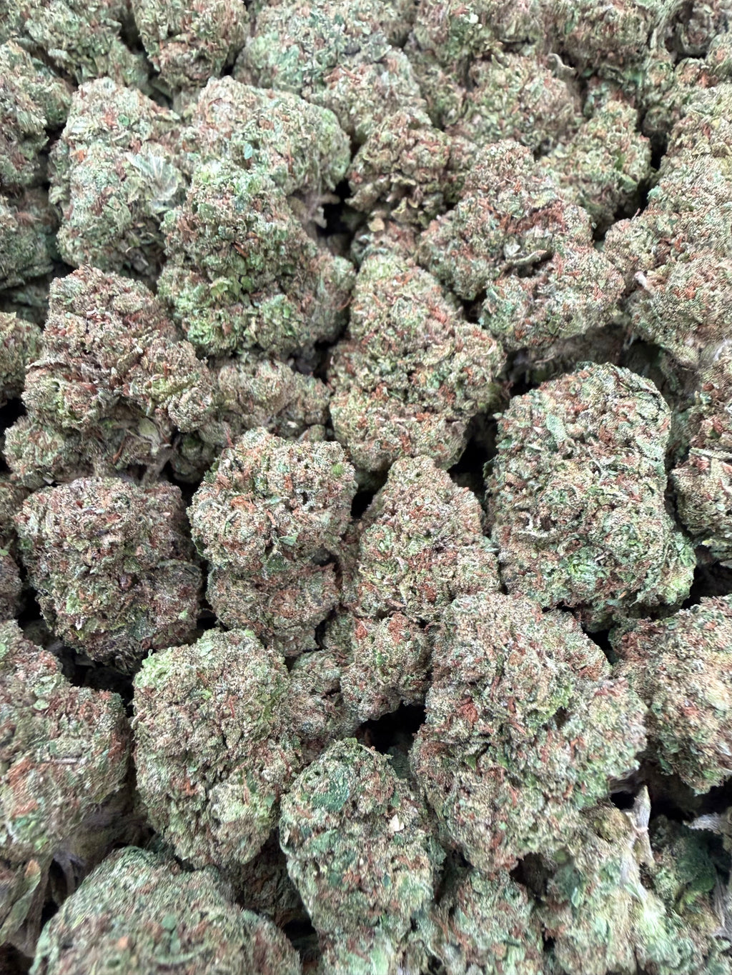 Mochilato - 16oz