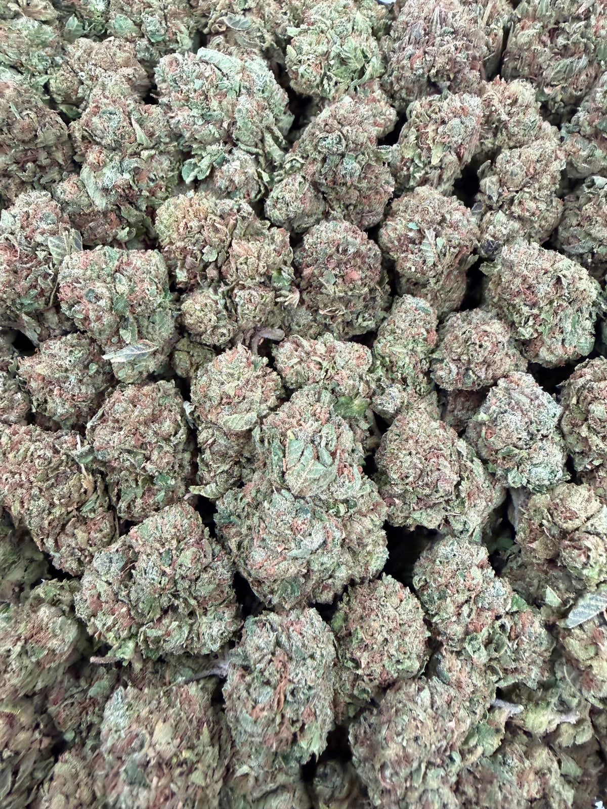Lemon Cherry Papaya - 16oz
