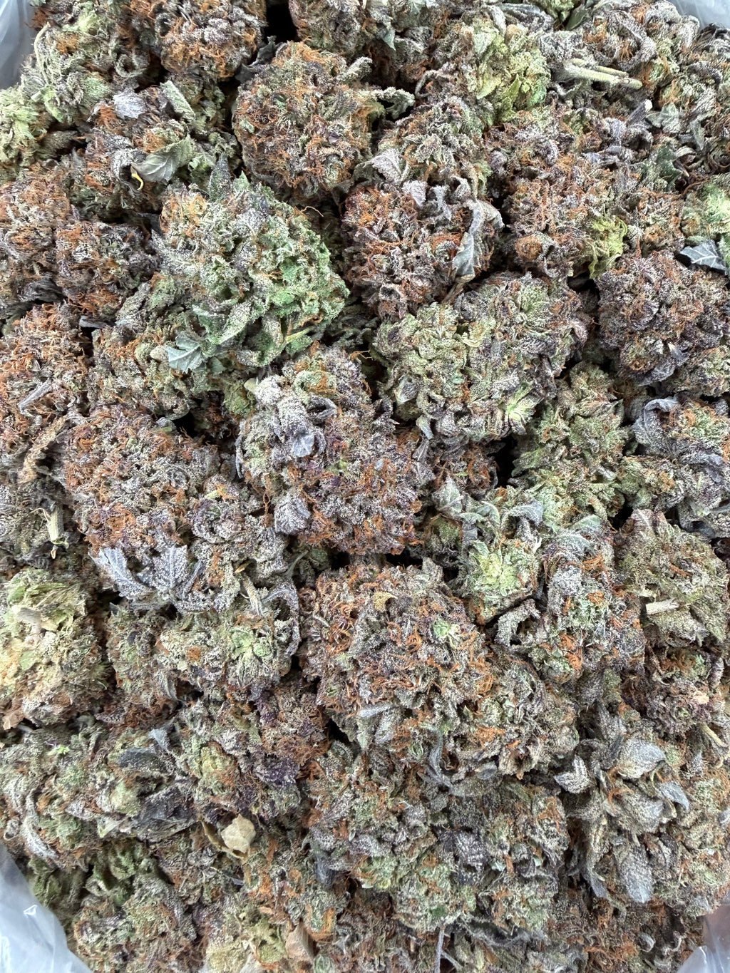 Purple Bubba - 16oz