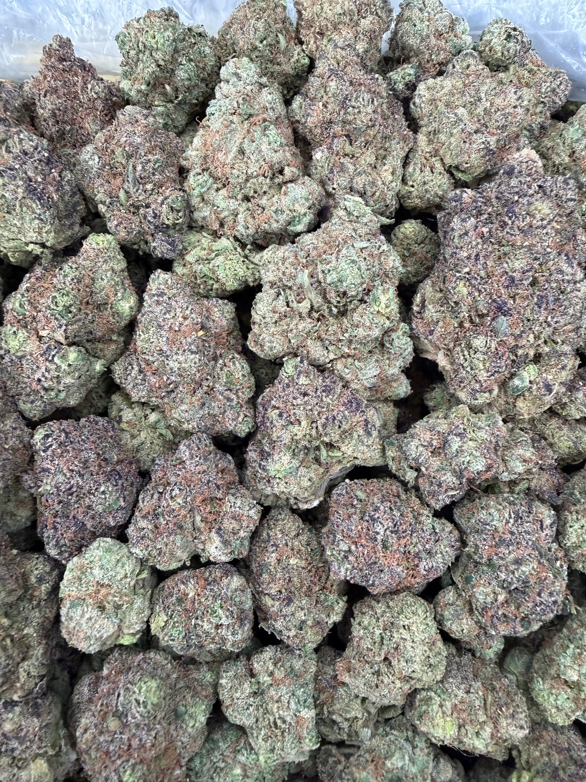 Blue Nerds - 4oz
