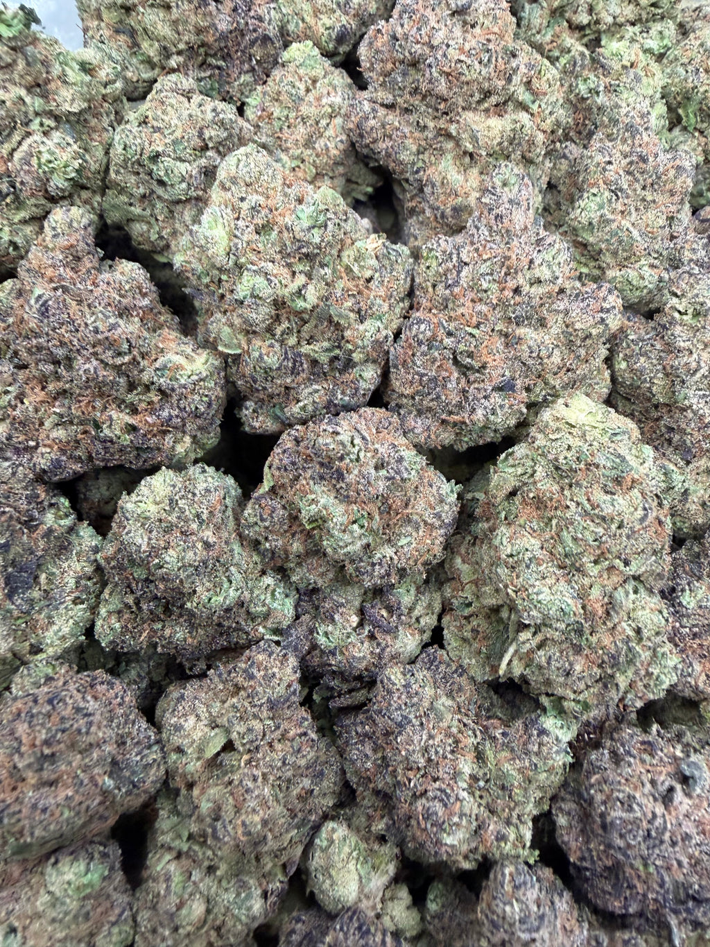 Sunset Sherbet - 16oz